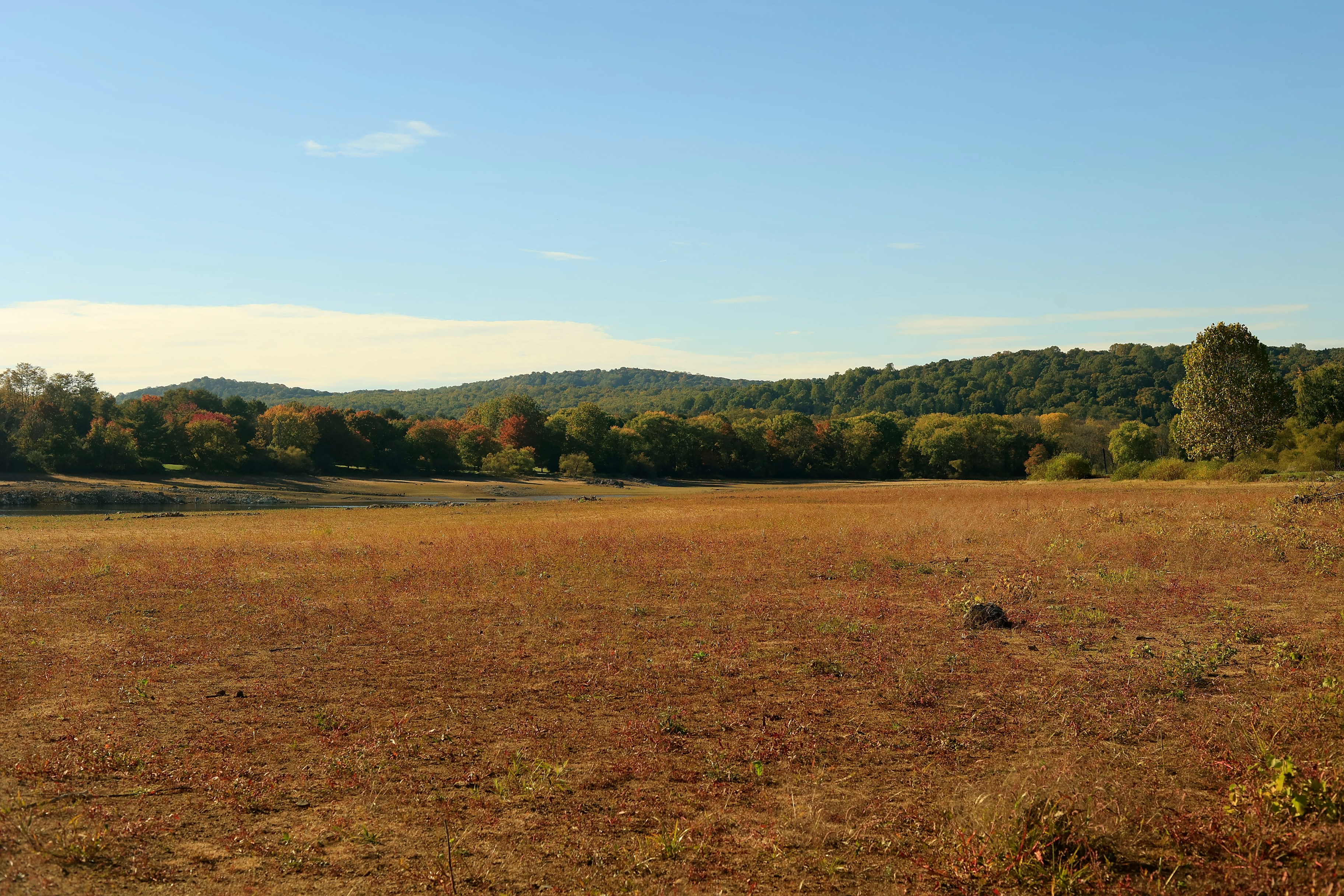 Photo by sherebiahtishbi