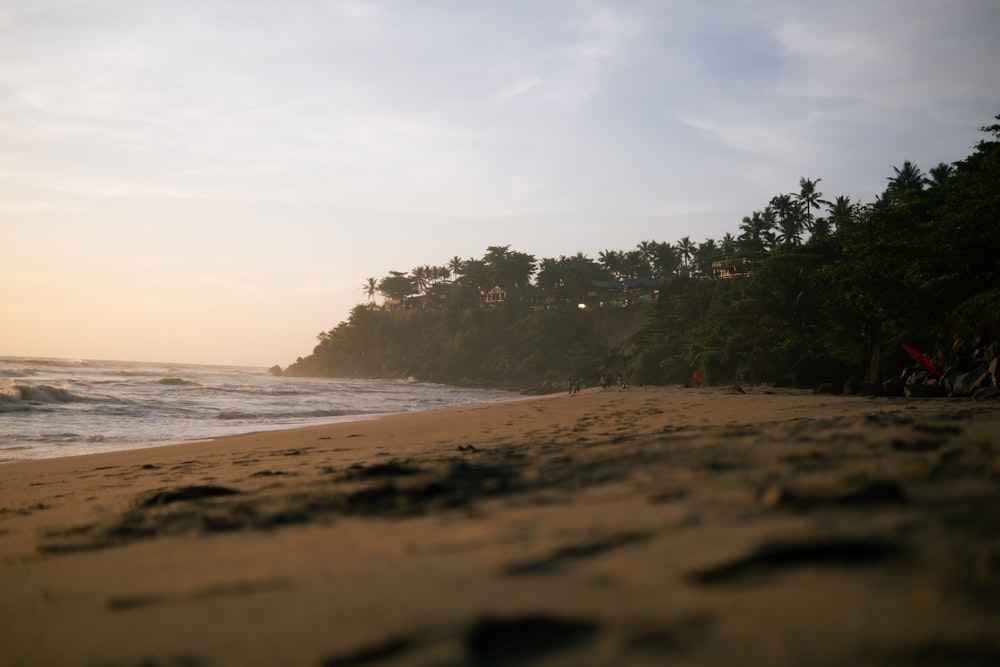 a beach with trees and a hill in the background