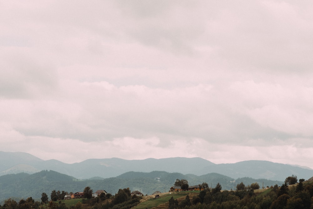 Un paysage avec des collines et des arbres