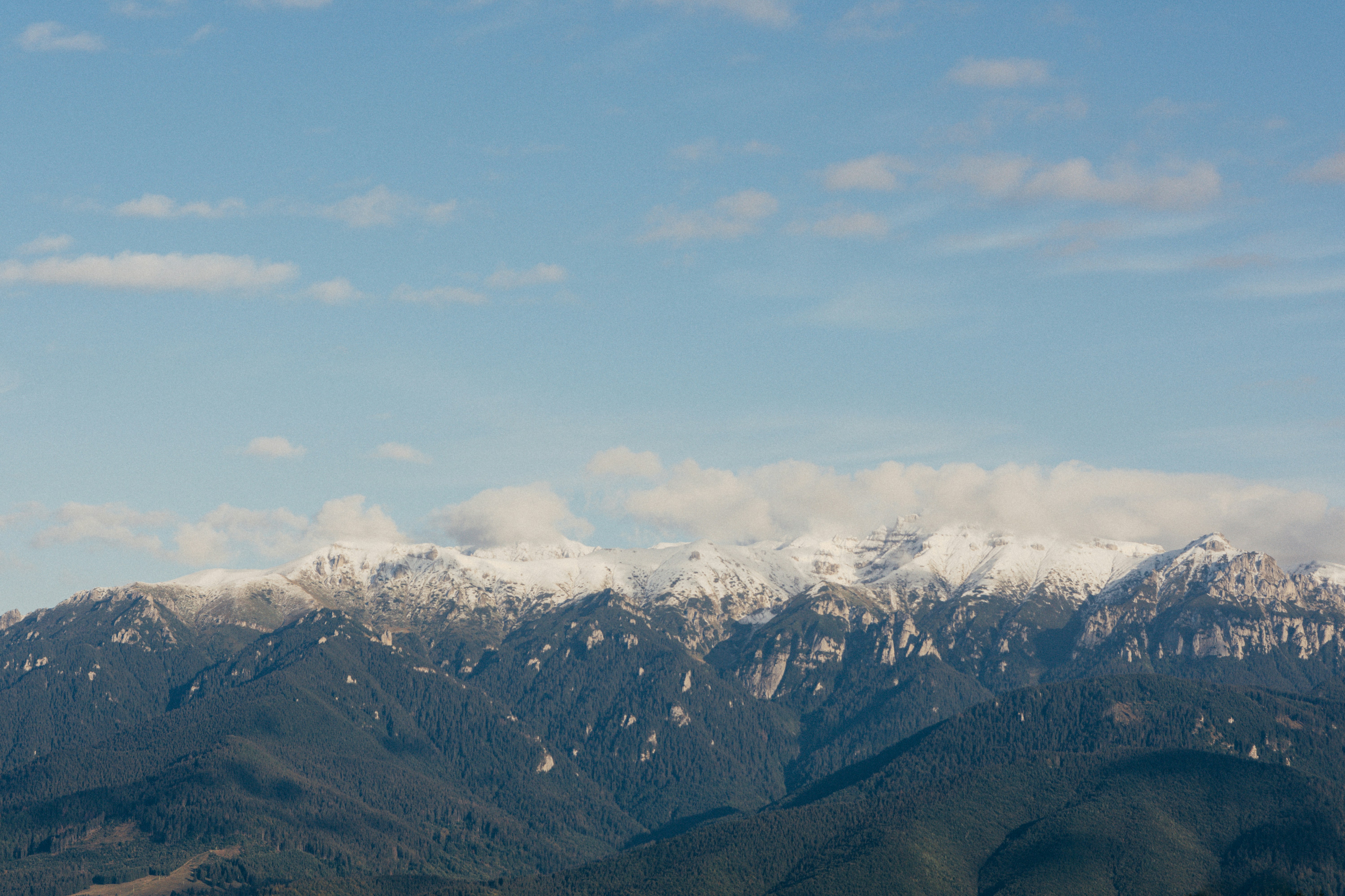 Photo by laurentzziu