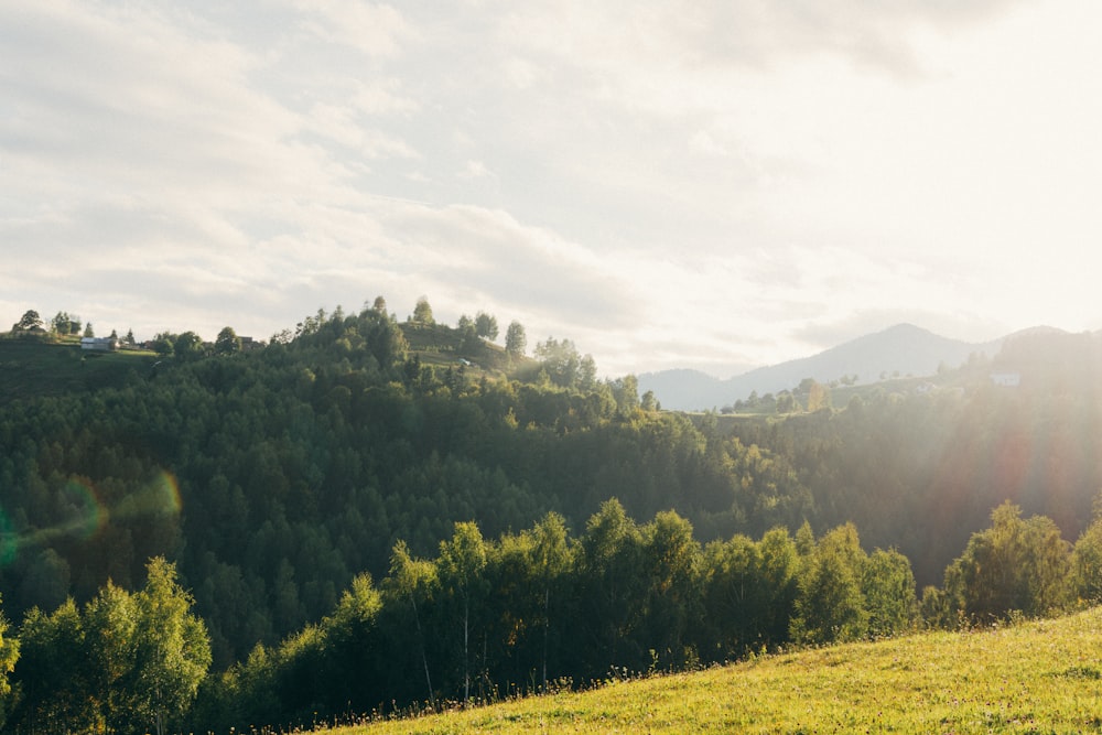 a landscape with trees and hills