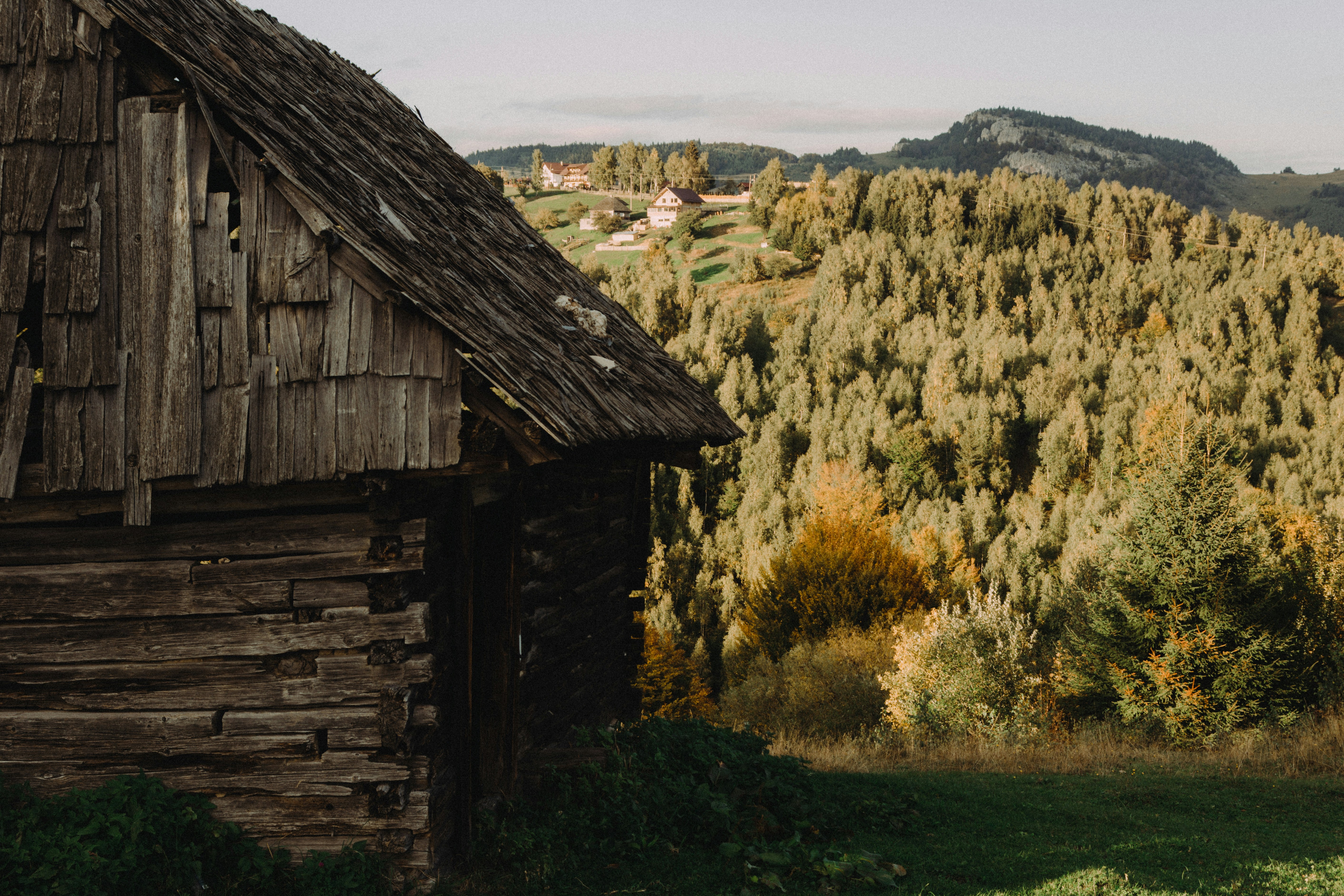Photo by laurentzziu