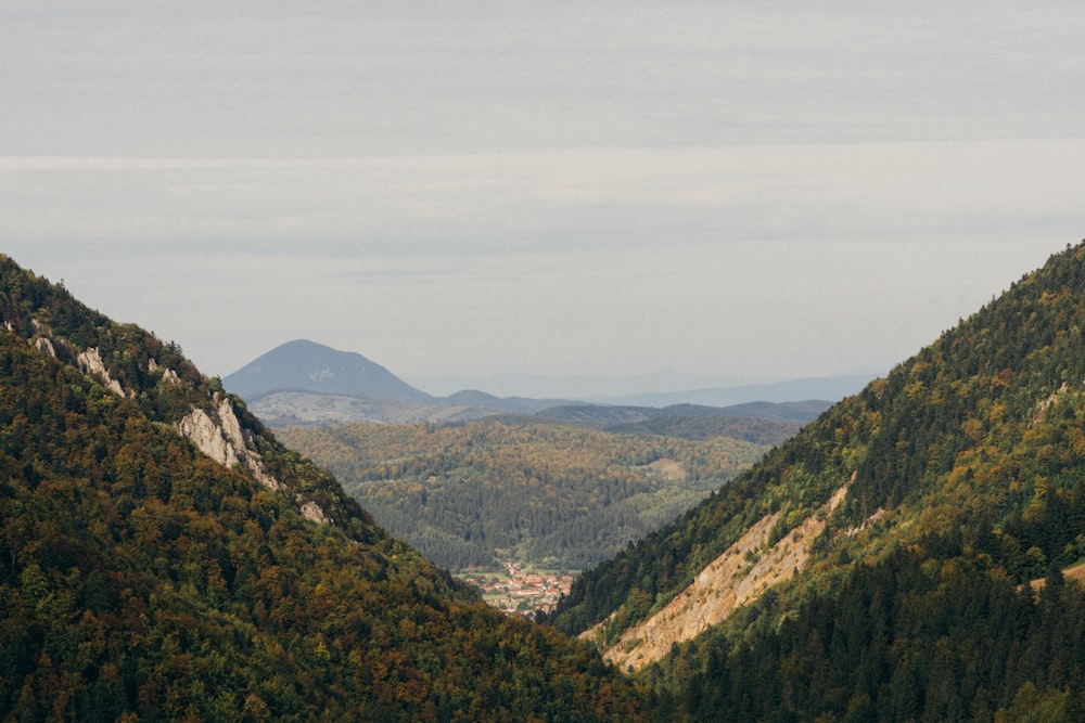 a landscape with hills and trees