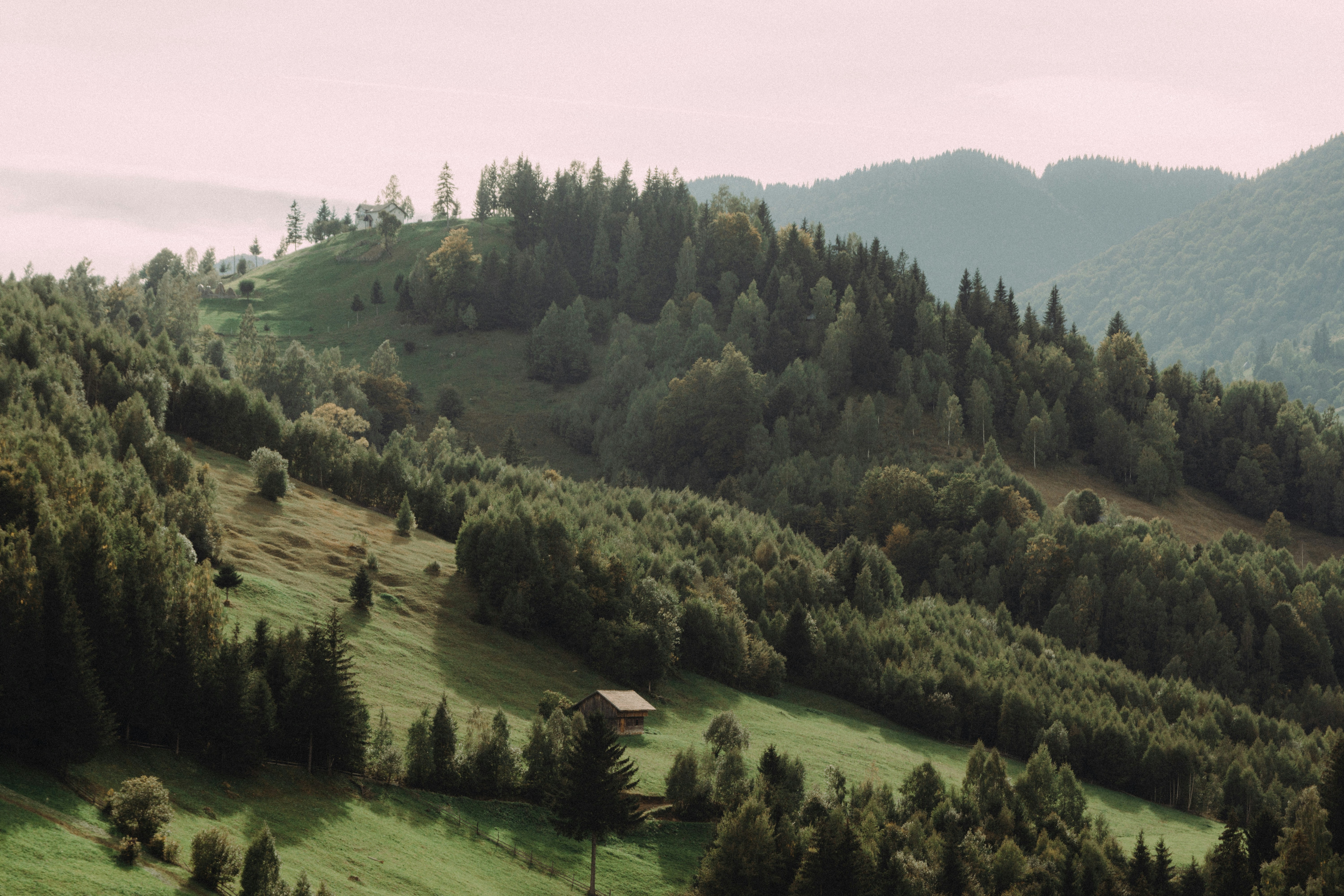 Photo by laurentzziu