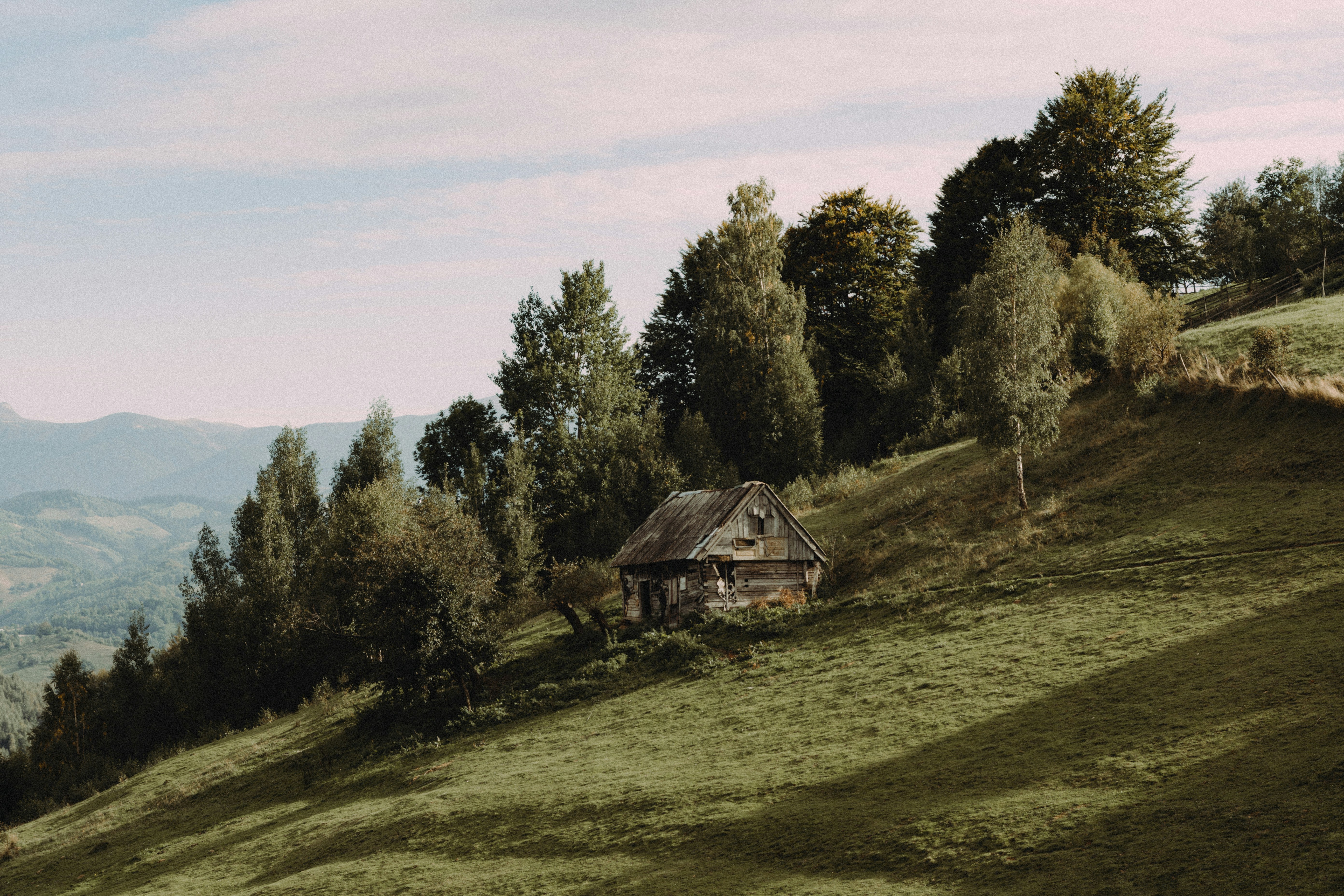 Photo by laurentzziu