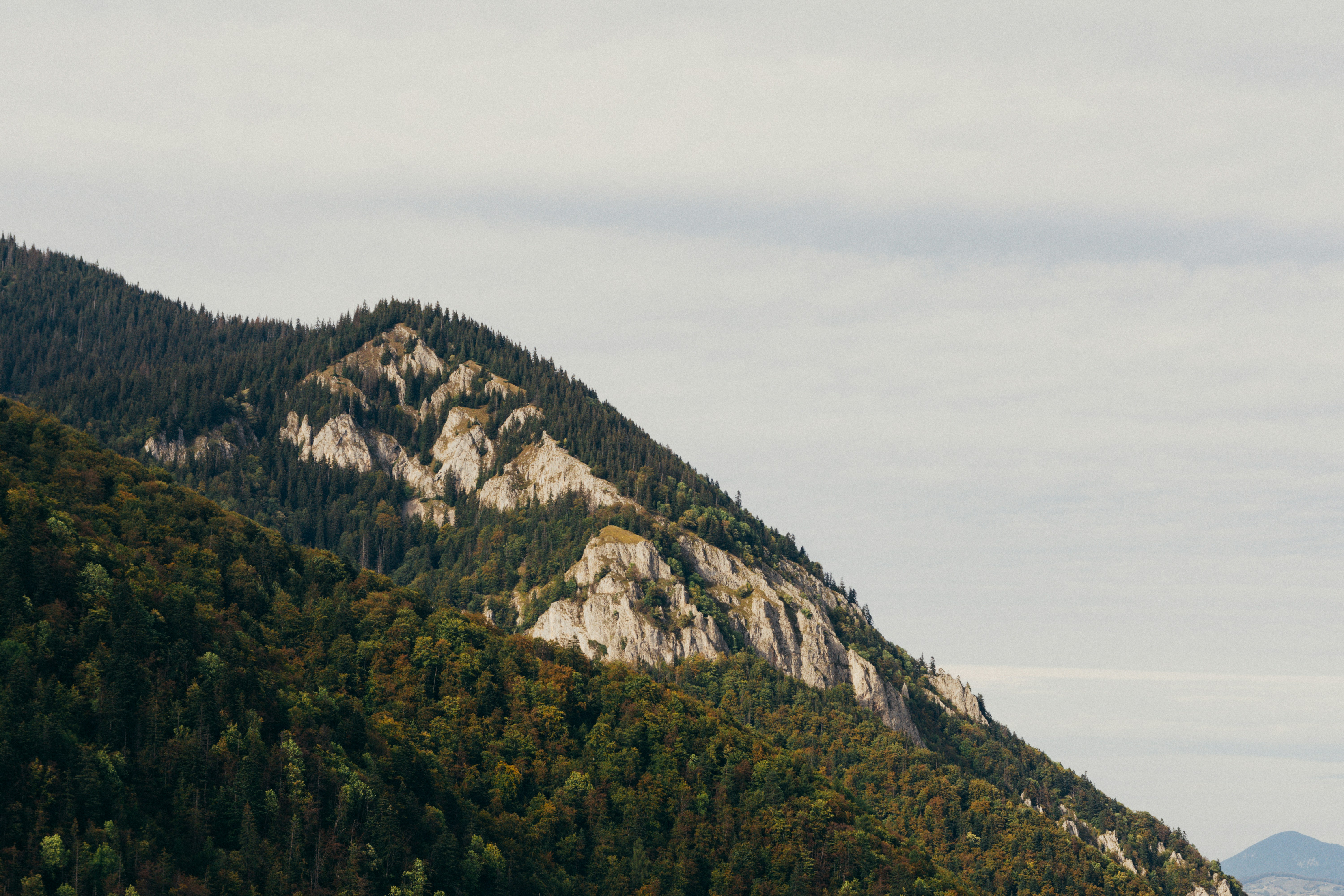 Photo by laurentzziu