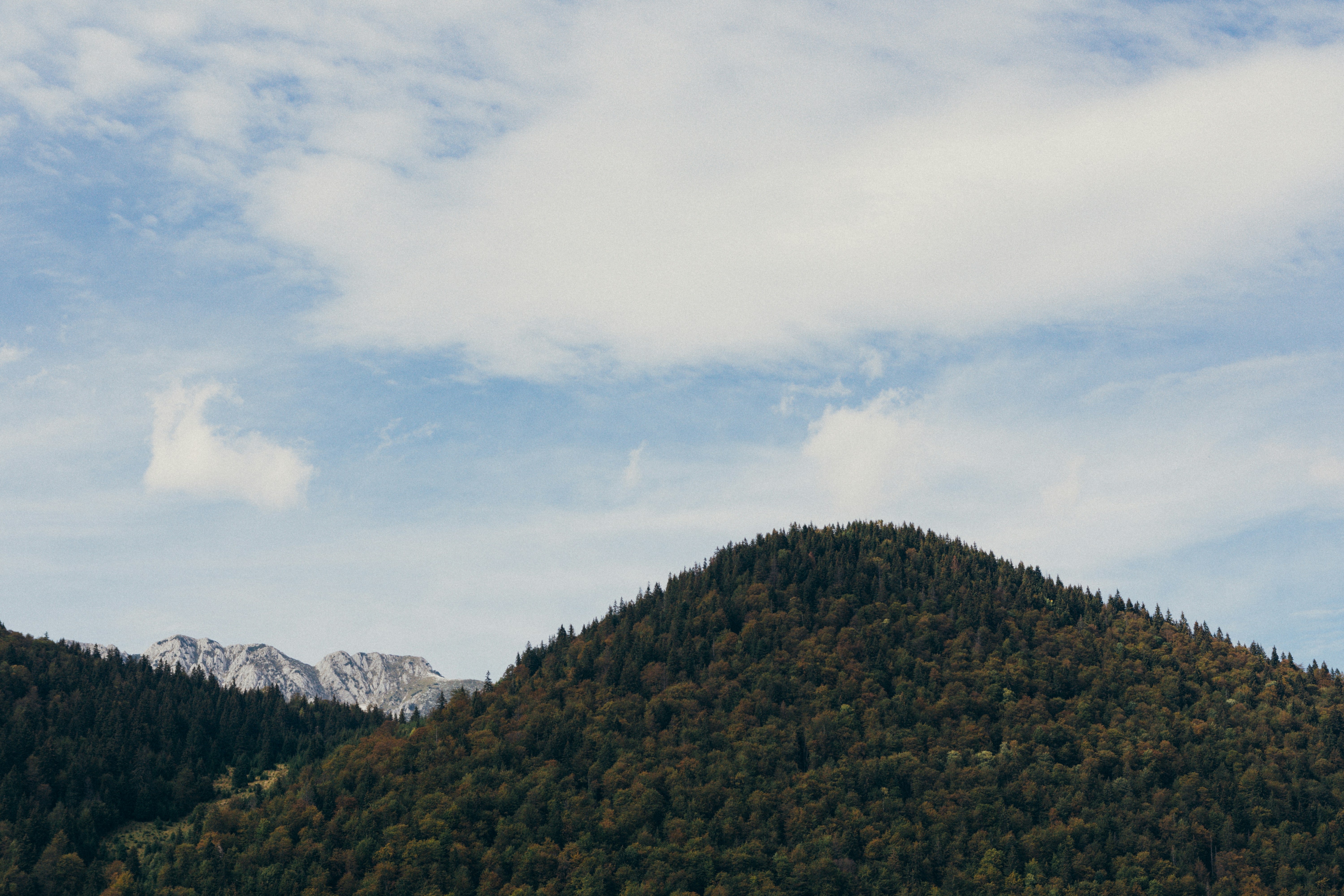 Photo by laurentzziu