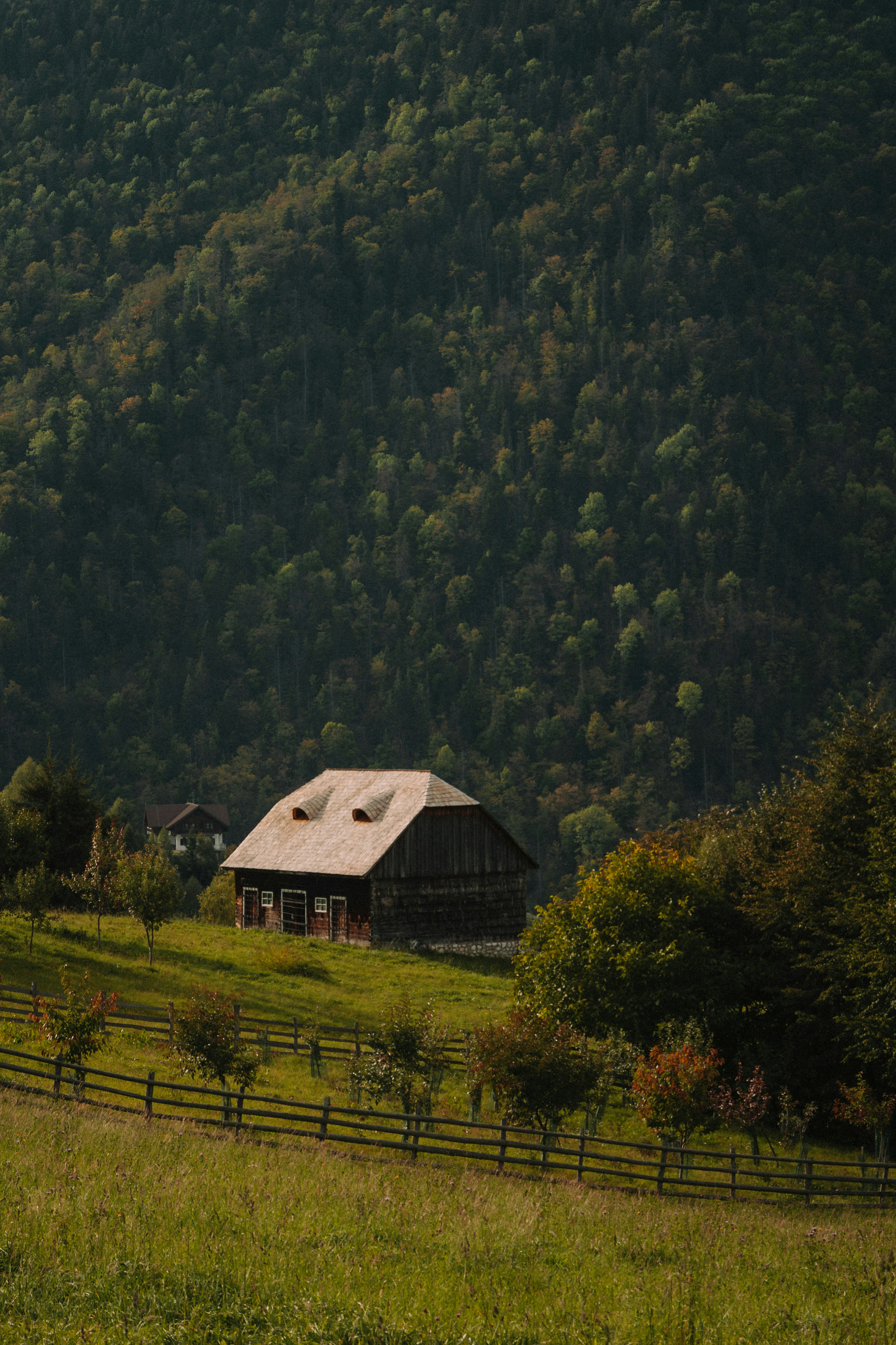 Photo by laurentzziu