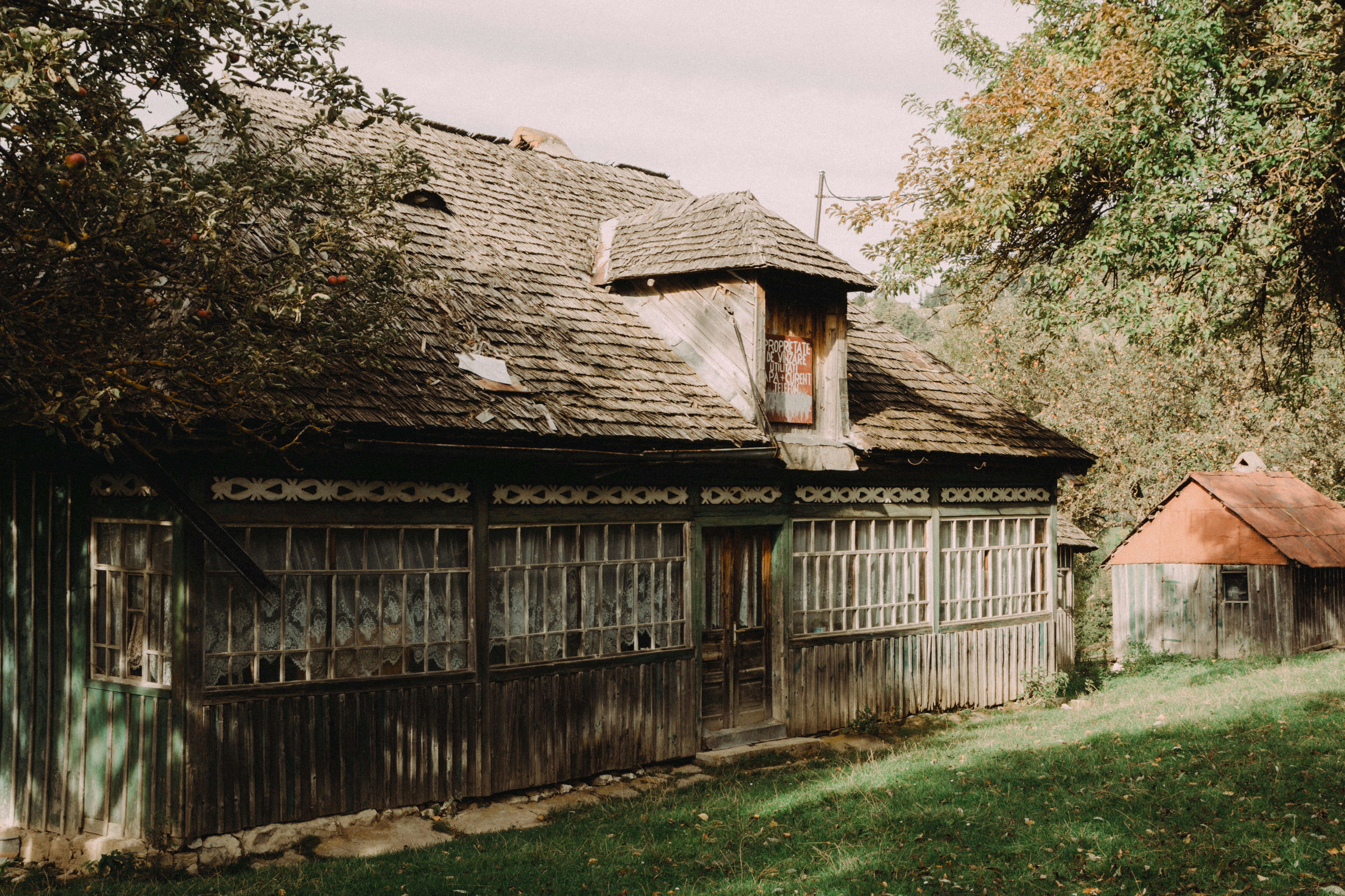 Photo by laurentzziu