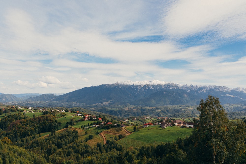 a landscape with trees and mountains in the background