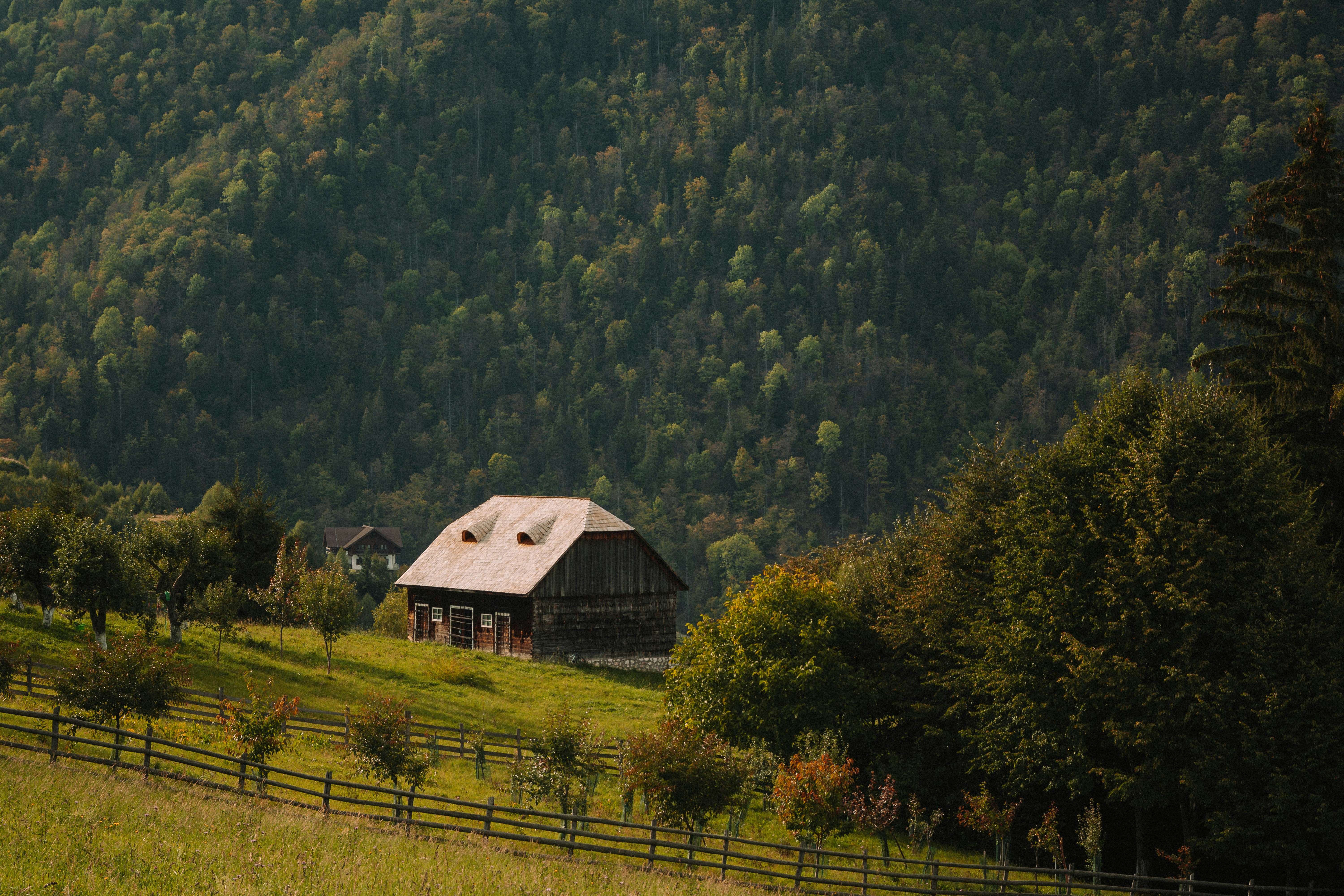 Photo by laurentzziu