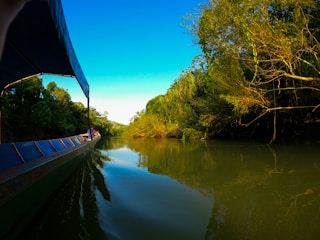 A serene boat gliding through calm waters with lush greenery along the riverbank.