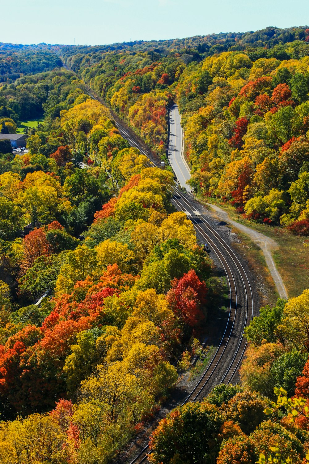 uma estrada sinuosa através de uma floresta