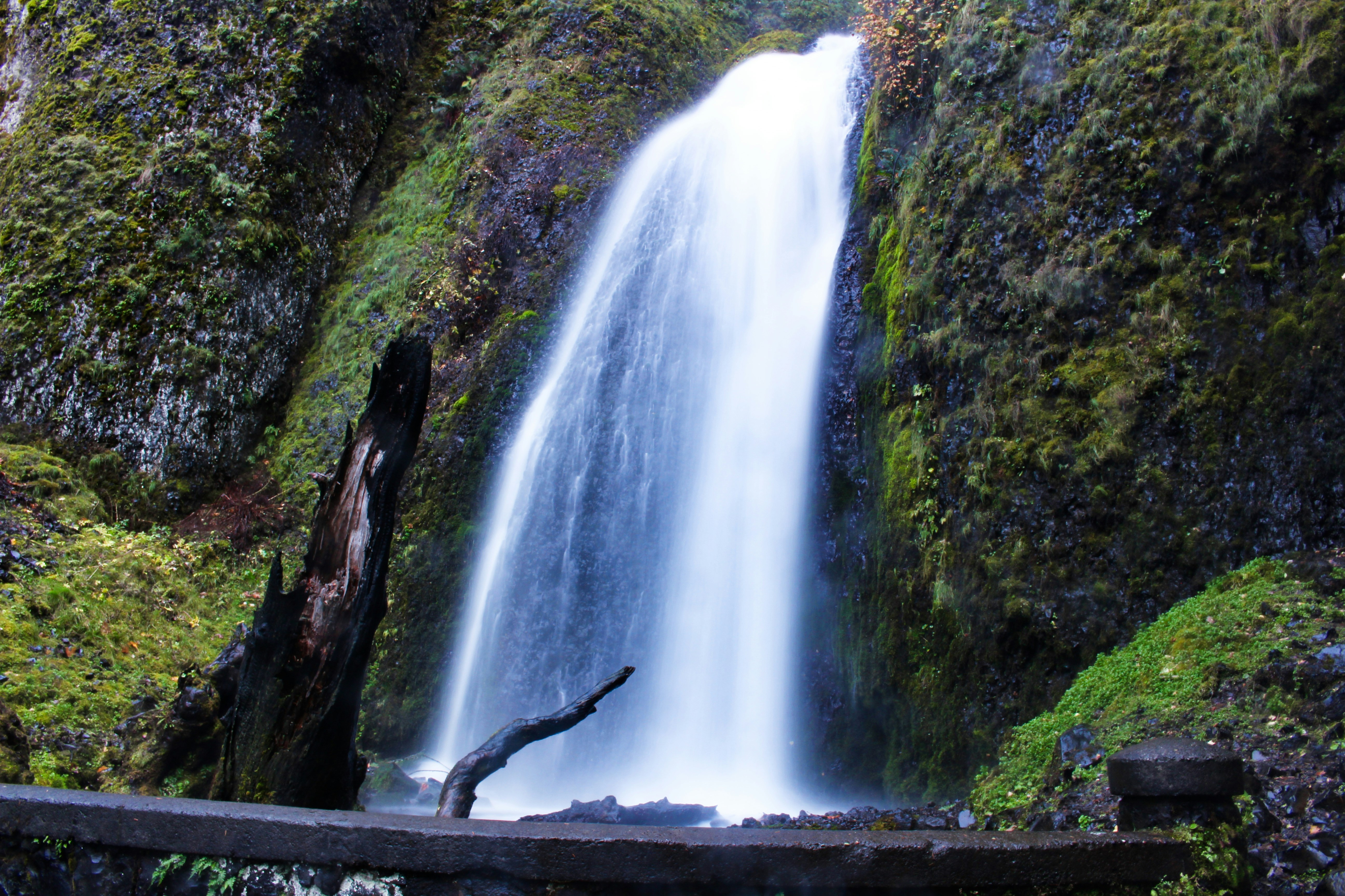 Photo by elijahaustin