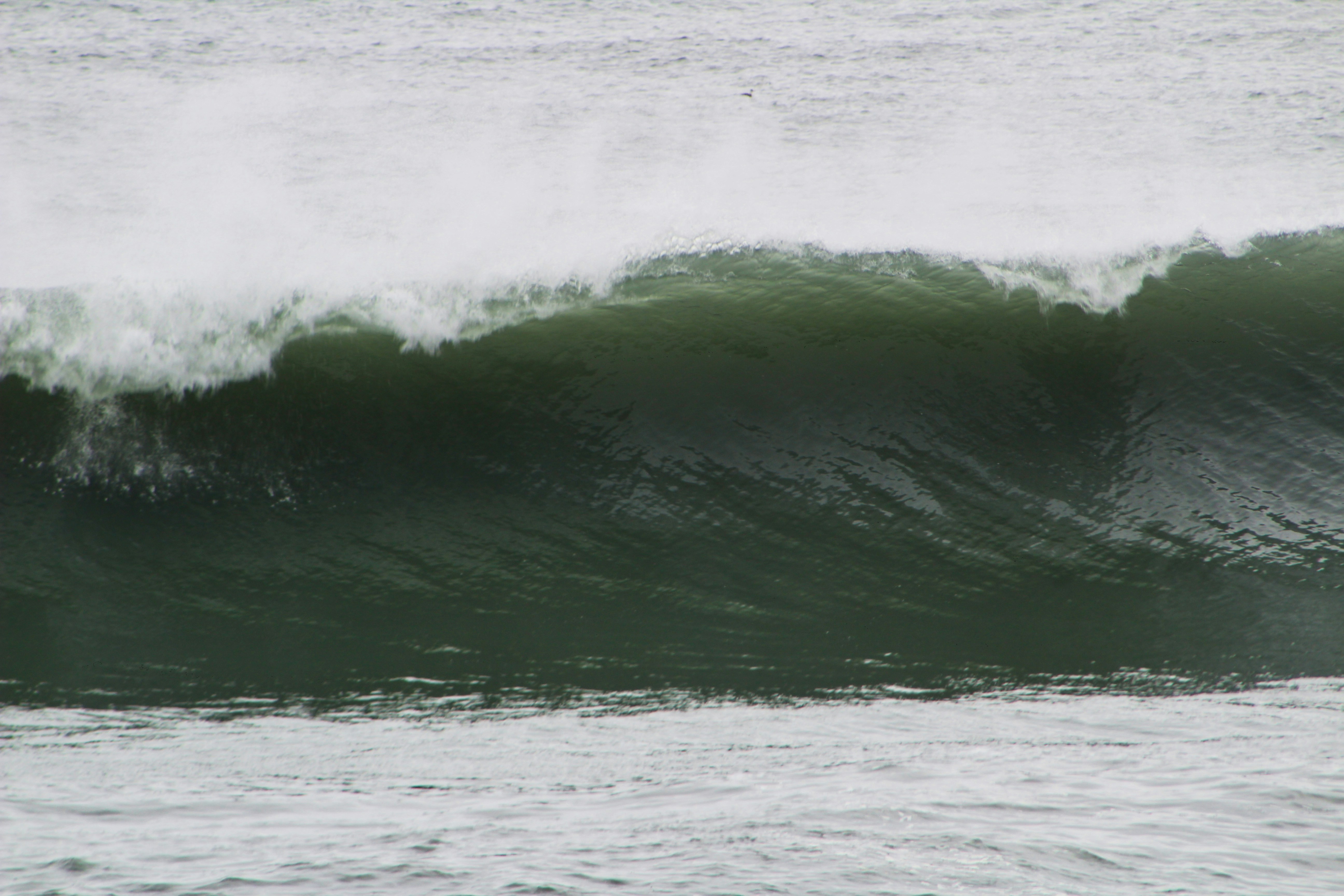 Photo by elijahaustin