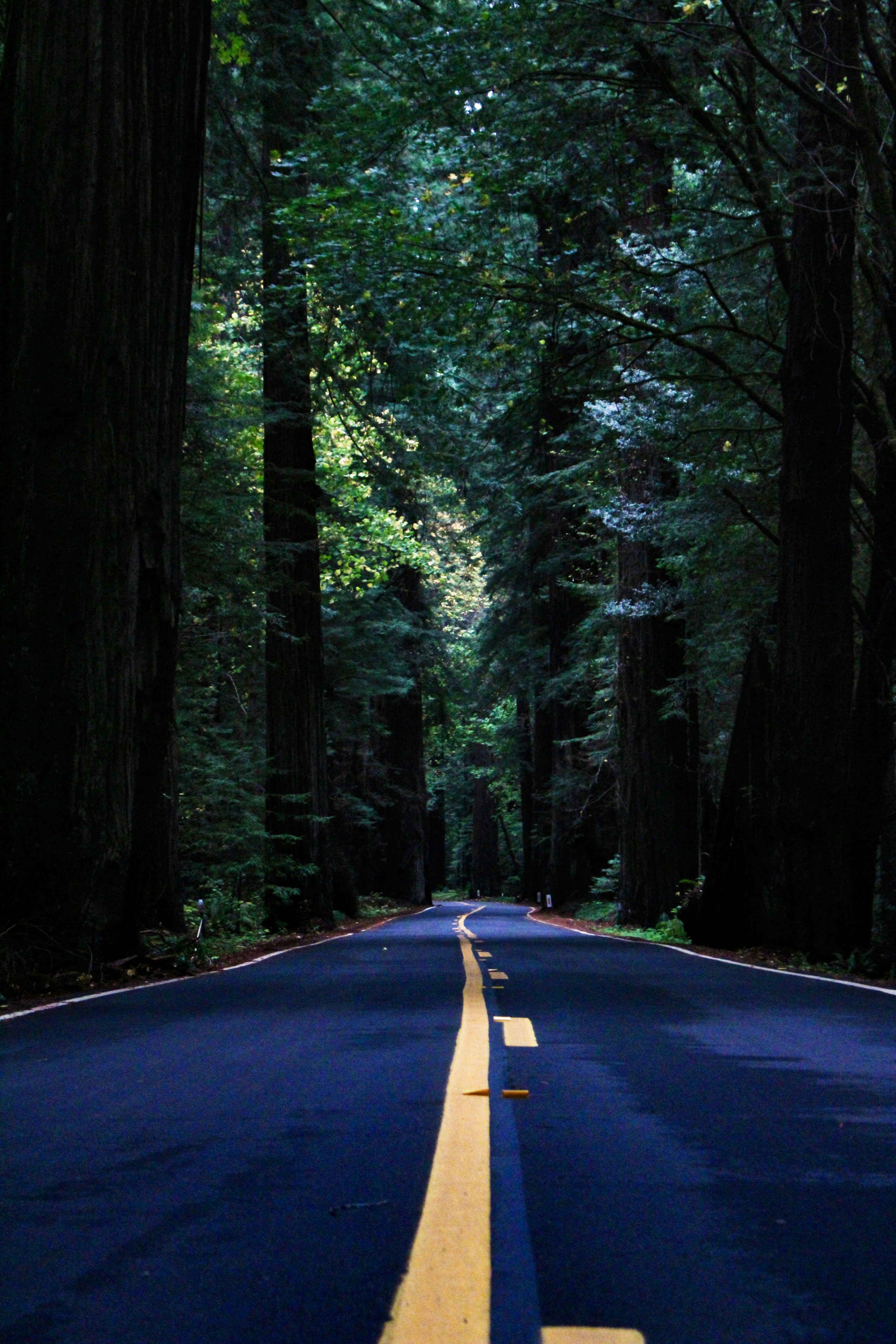 Photo by elijahaustin