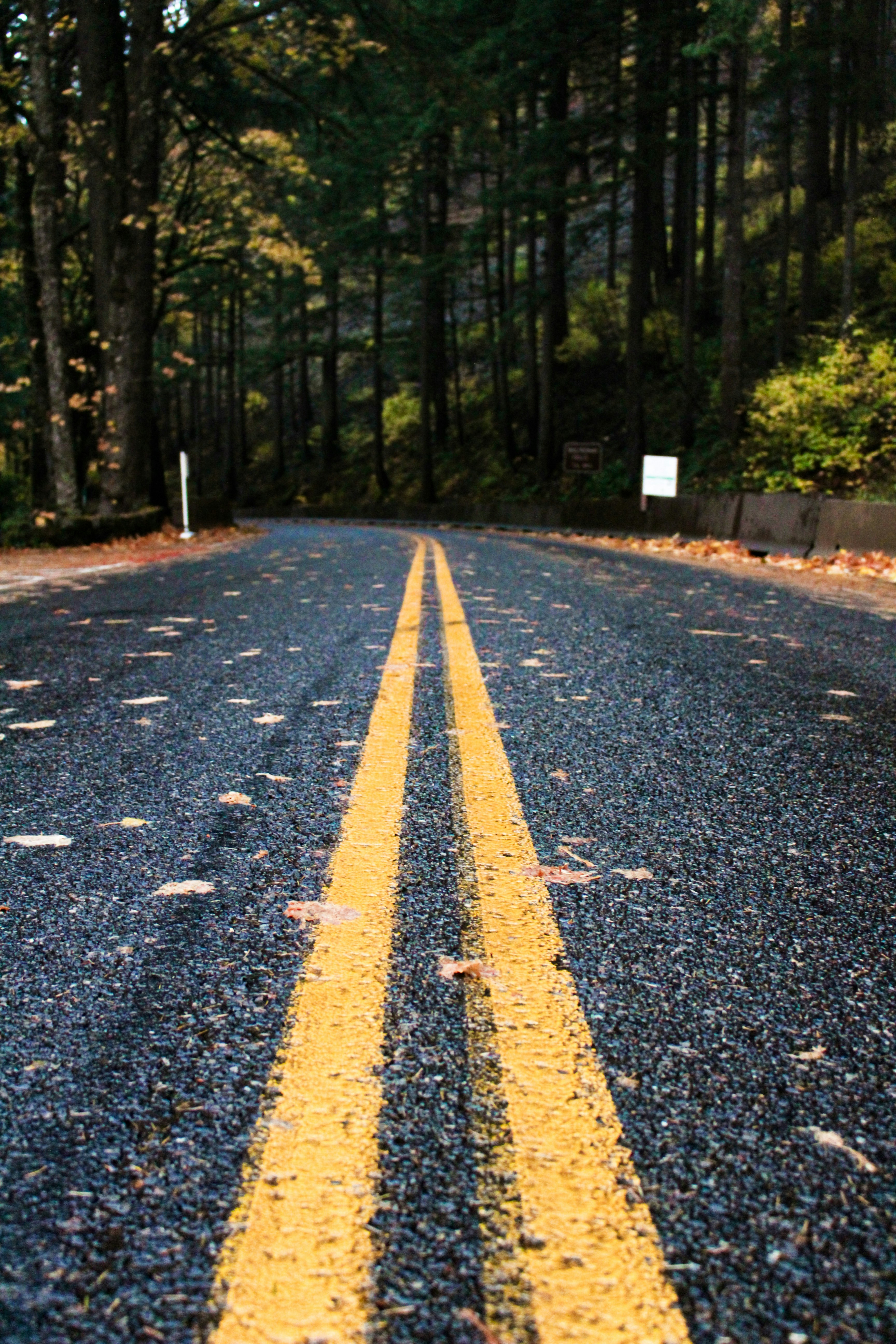 Photo by elijahaustin