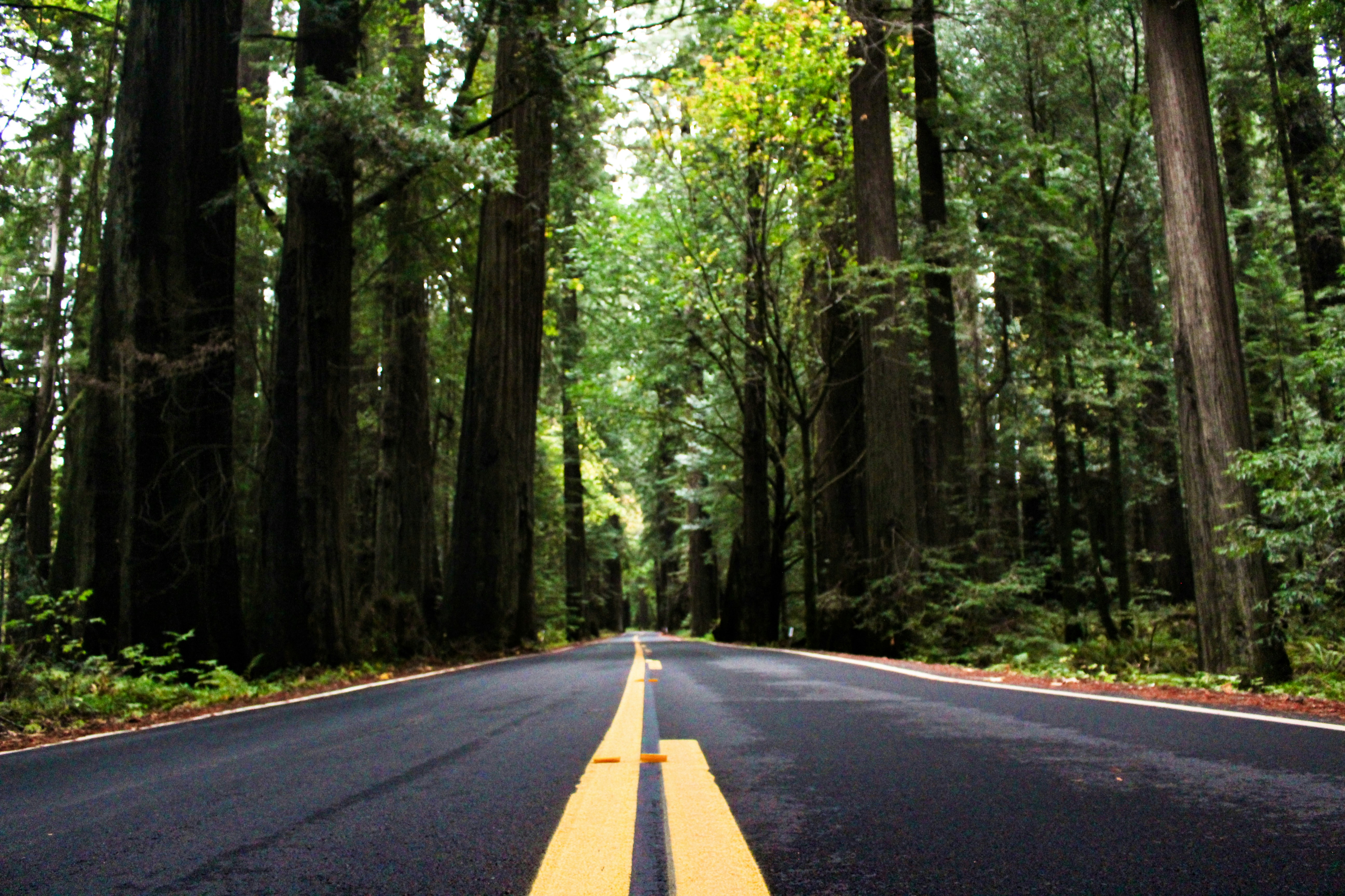 Photo by elijahaustin