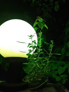 A glowing spherical lamp is positioned on a black stand amidst a lush garden. The bright light from the lamp illuminates the surrounding green leaves and small plants, creating a contrasting and vibrant scene.