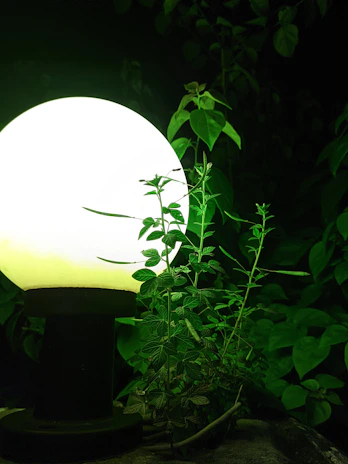 Close-up of a mushroom-shaped landscape lamp nestled among garden flowers, softly glowing.