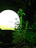 A customer enjoying their solar-powered outdoor lamp in a garden setting.