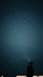 A person gazing at a starry night sky, contemplating their astrological chart.