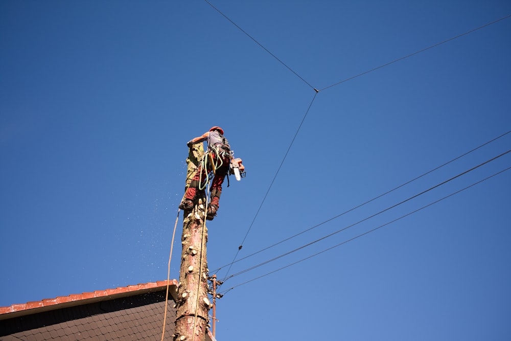 a person climbing a pole