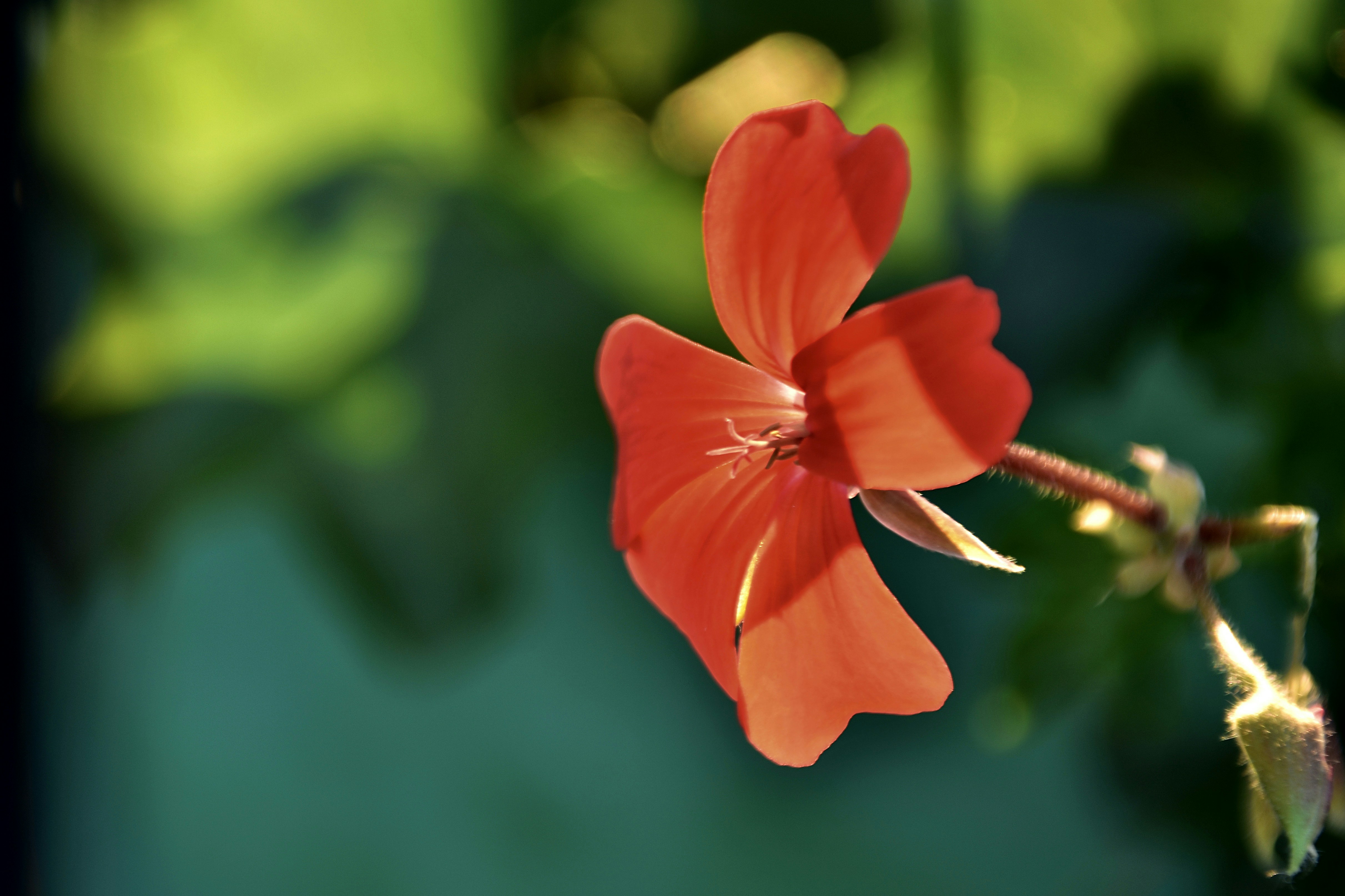 Photo by mariobeducci