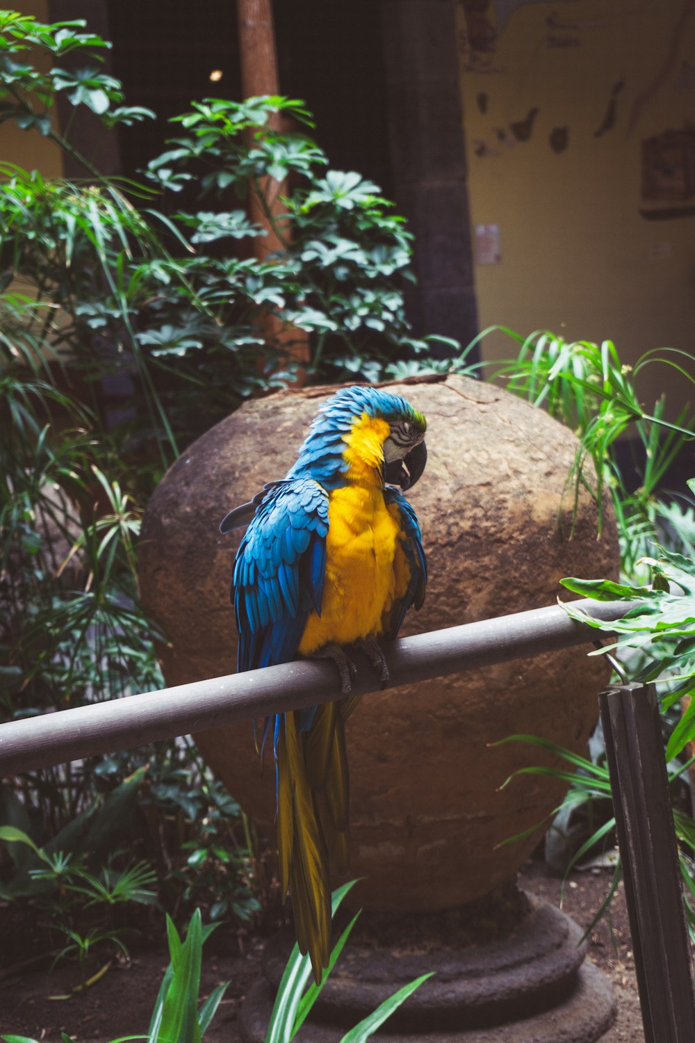 a bird sitting on a branch