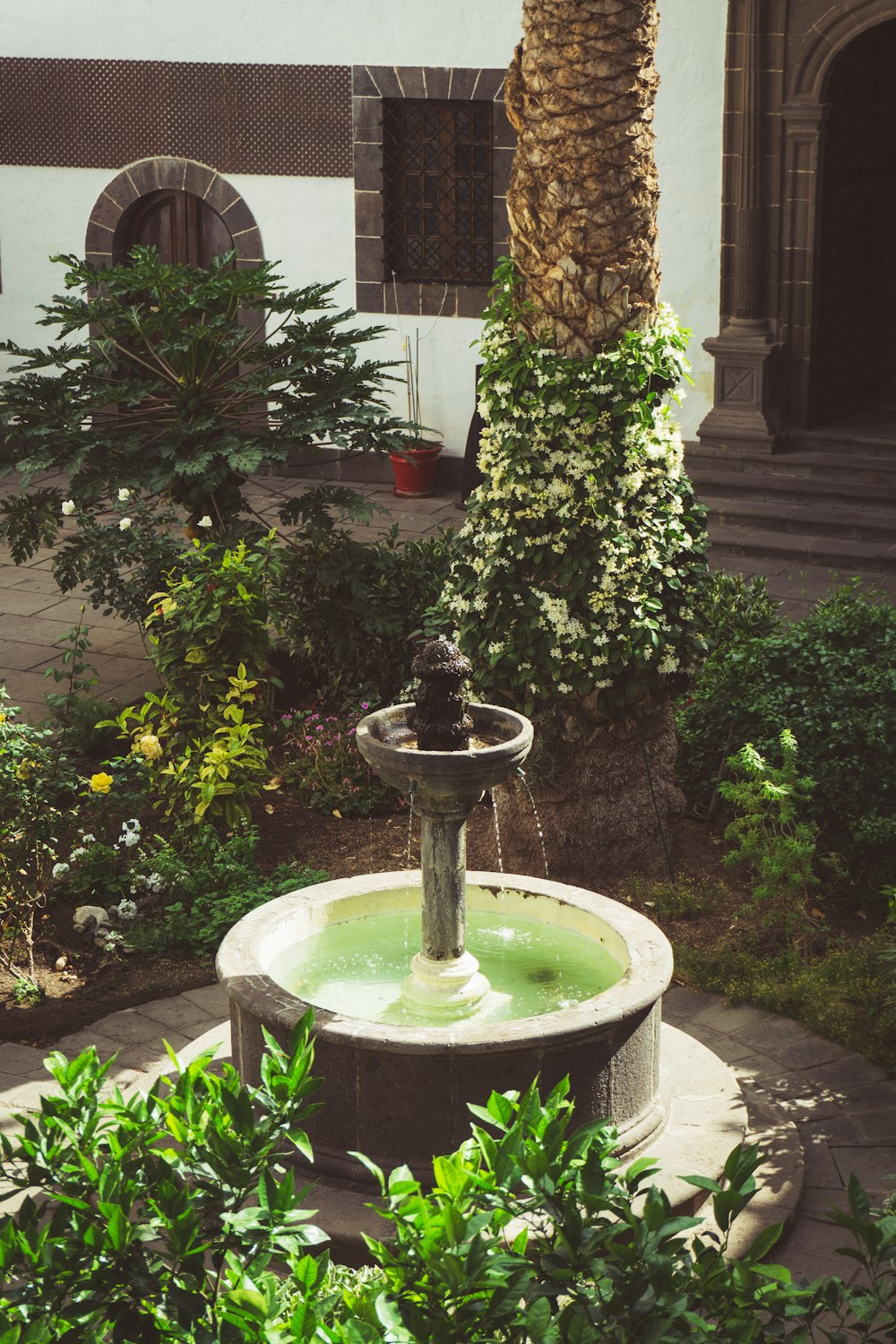 a fountain in a garden