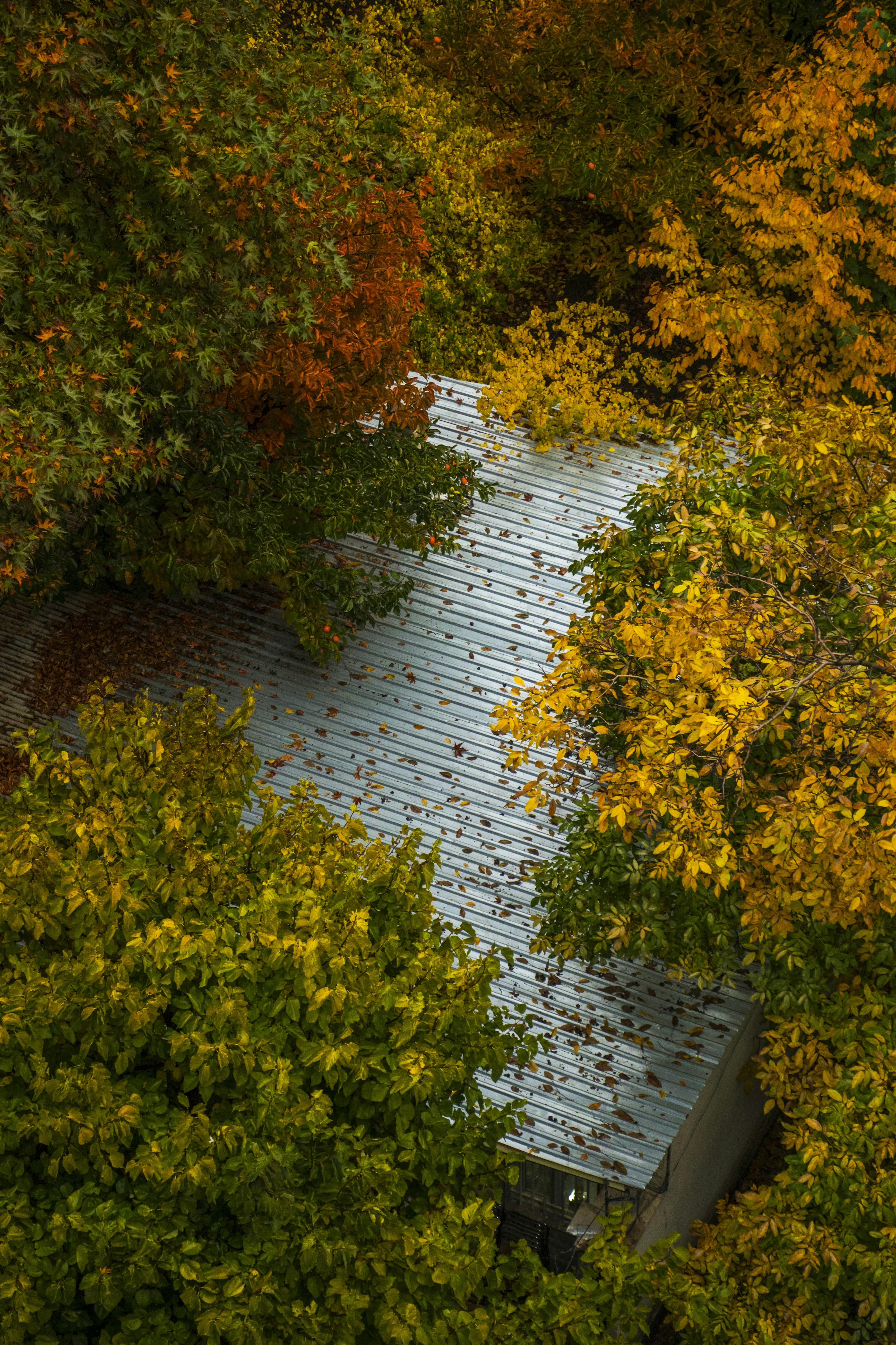 fall roof maintenance