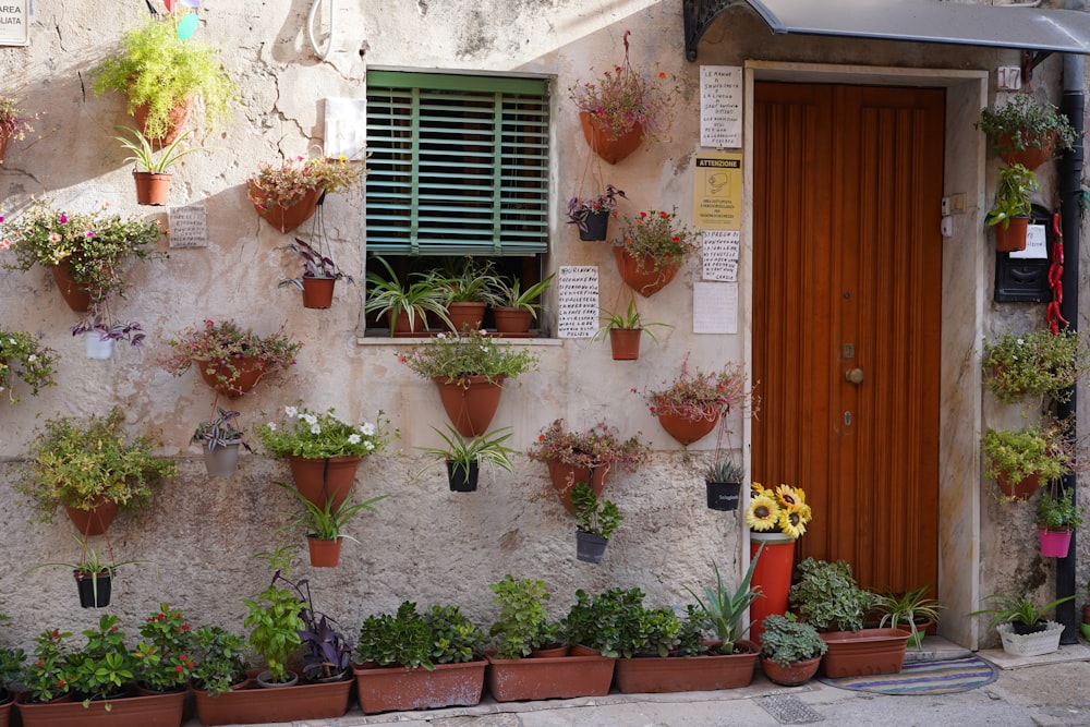 a building with potted plants