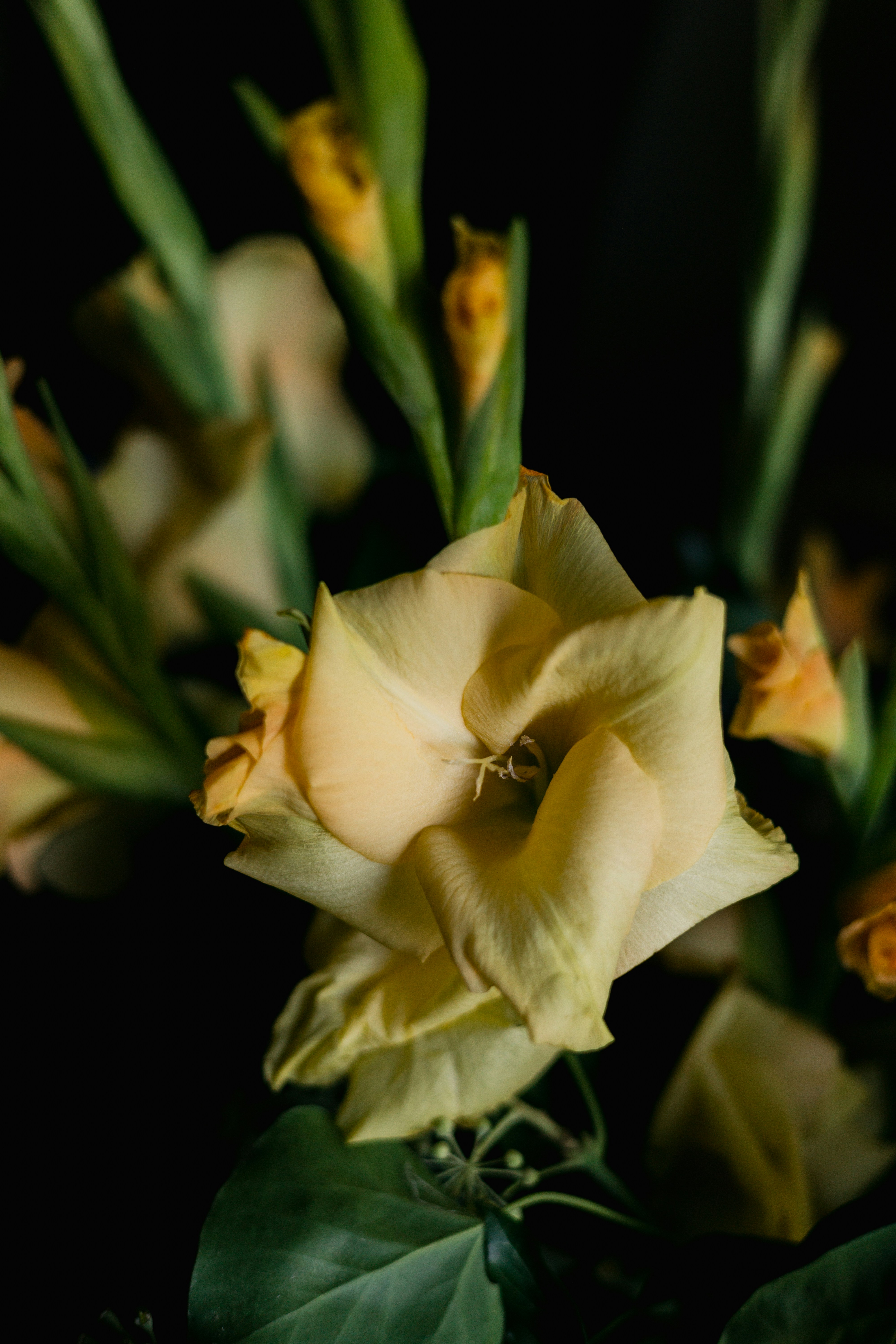 Photo by filipp_roman_photography