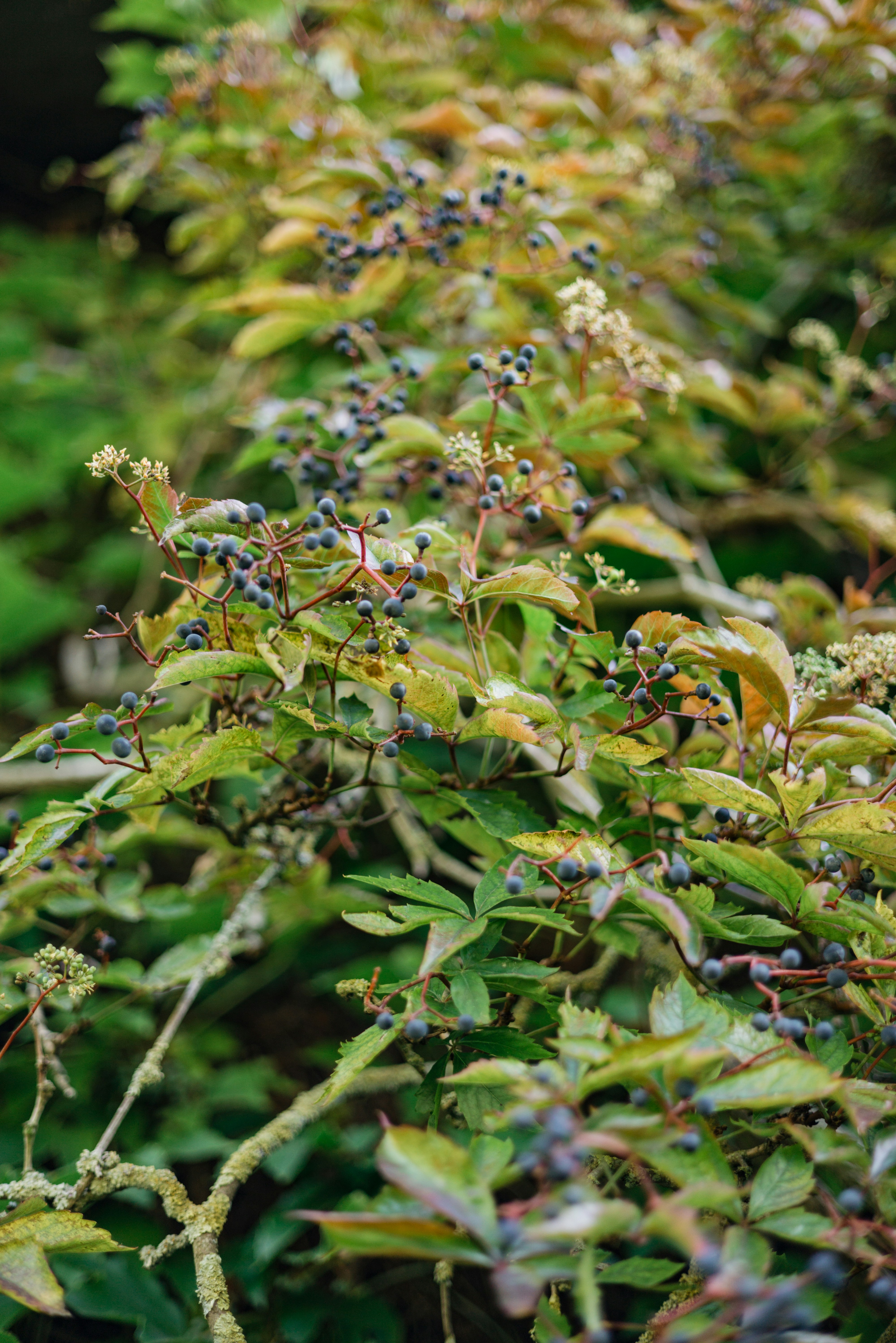 Photo by filipp_roman_photography