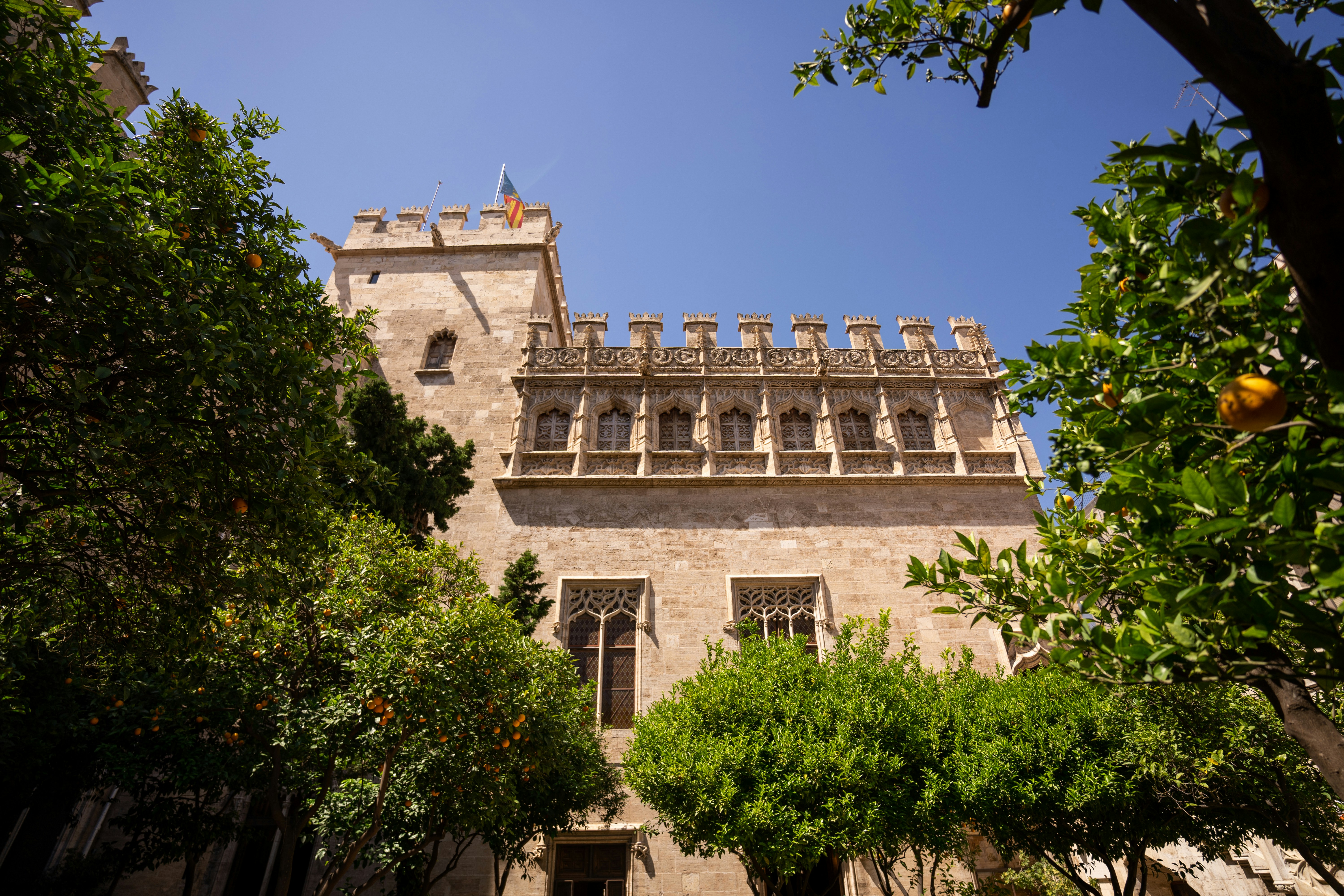 Photo by northleg_official