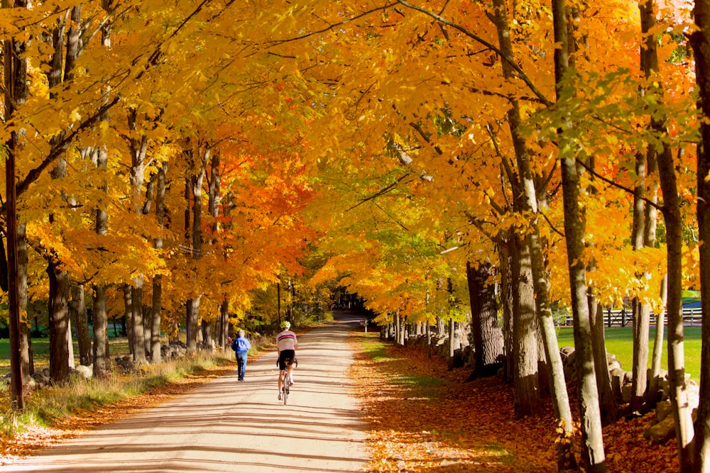 a group of people riding bicycles on a path surrounded by trees