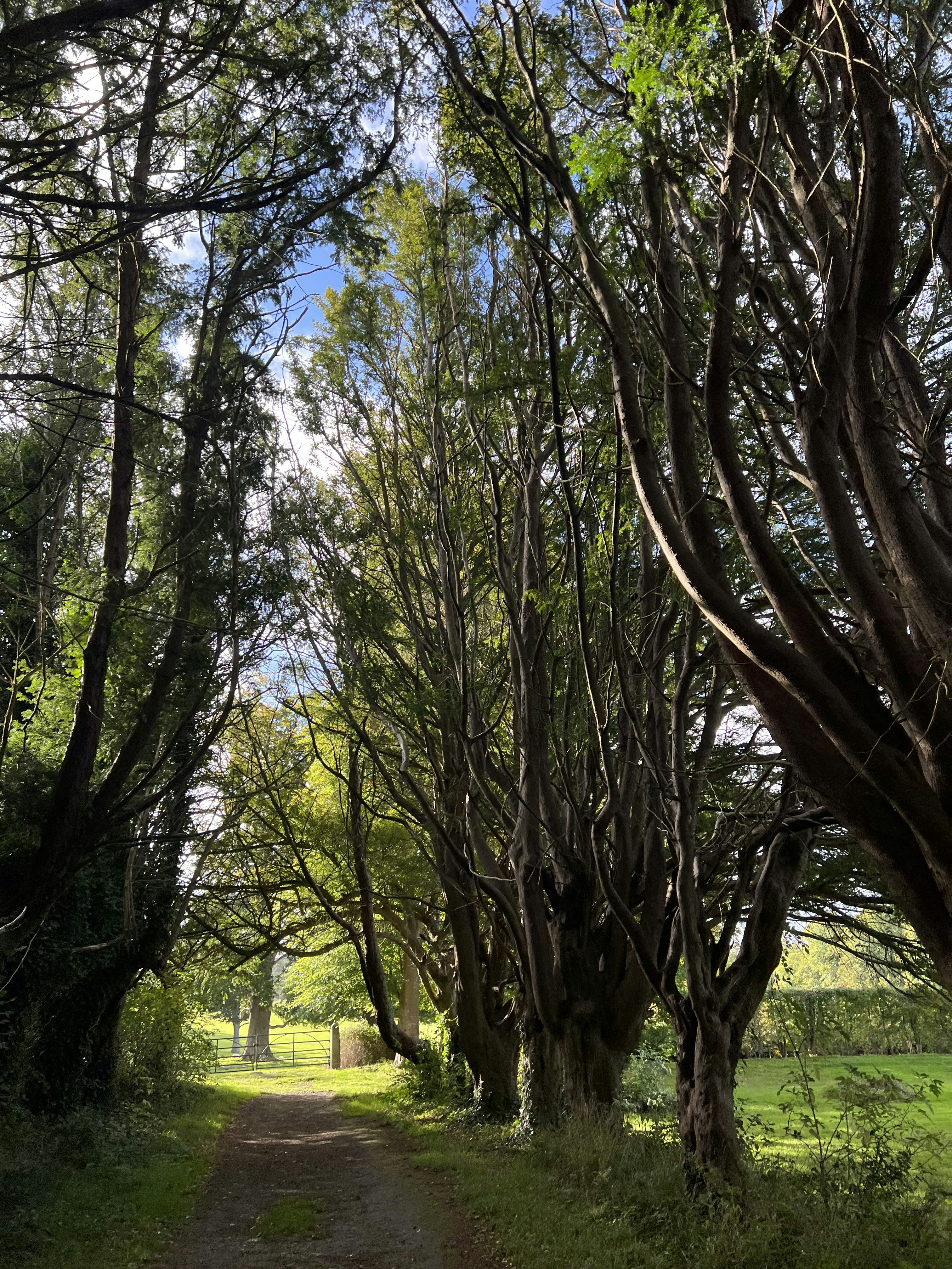 Photo by sarahspcreates