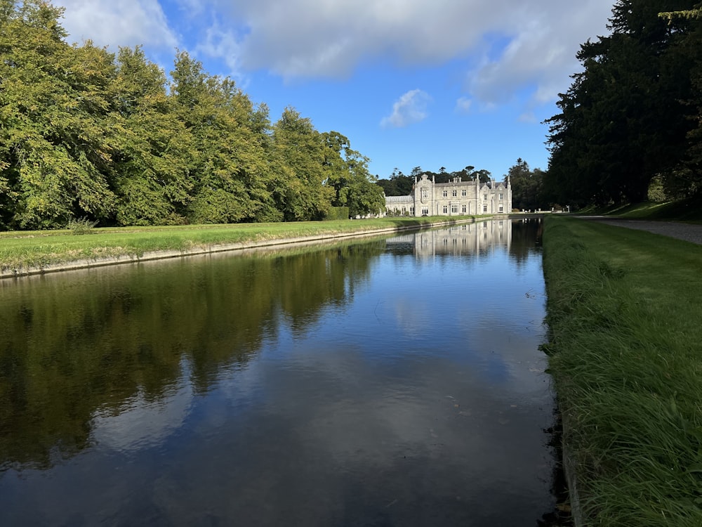 a body of water with grass and trees around it