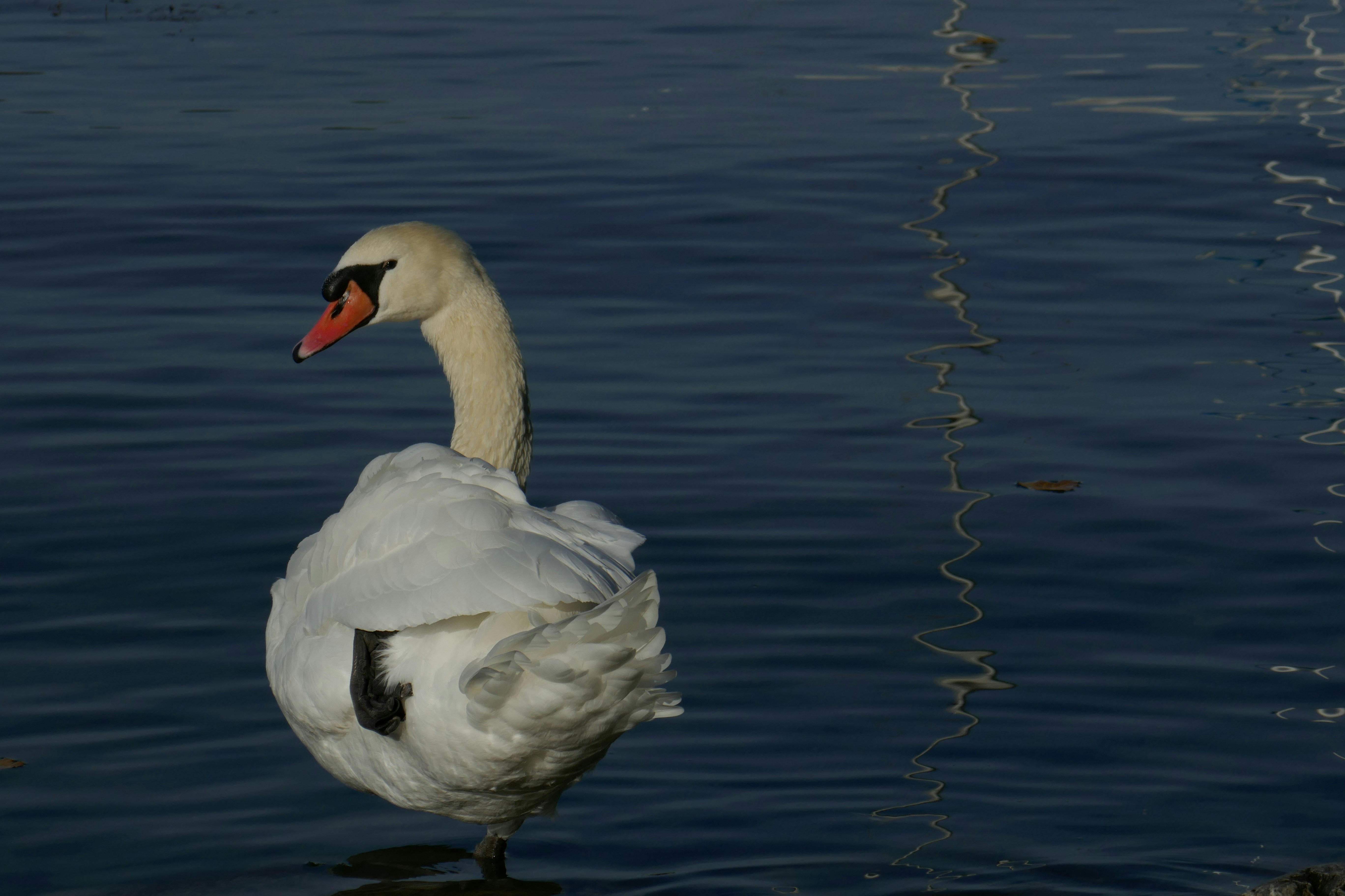 Photo by monikamanenti