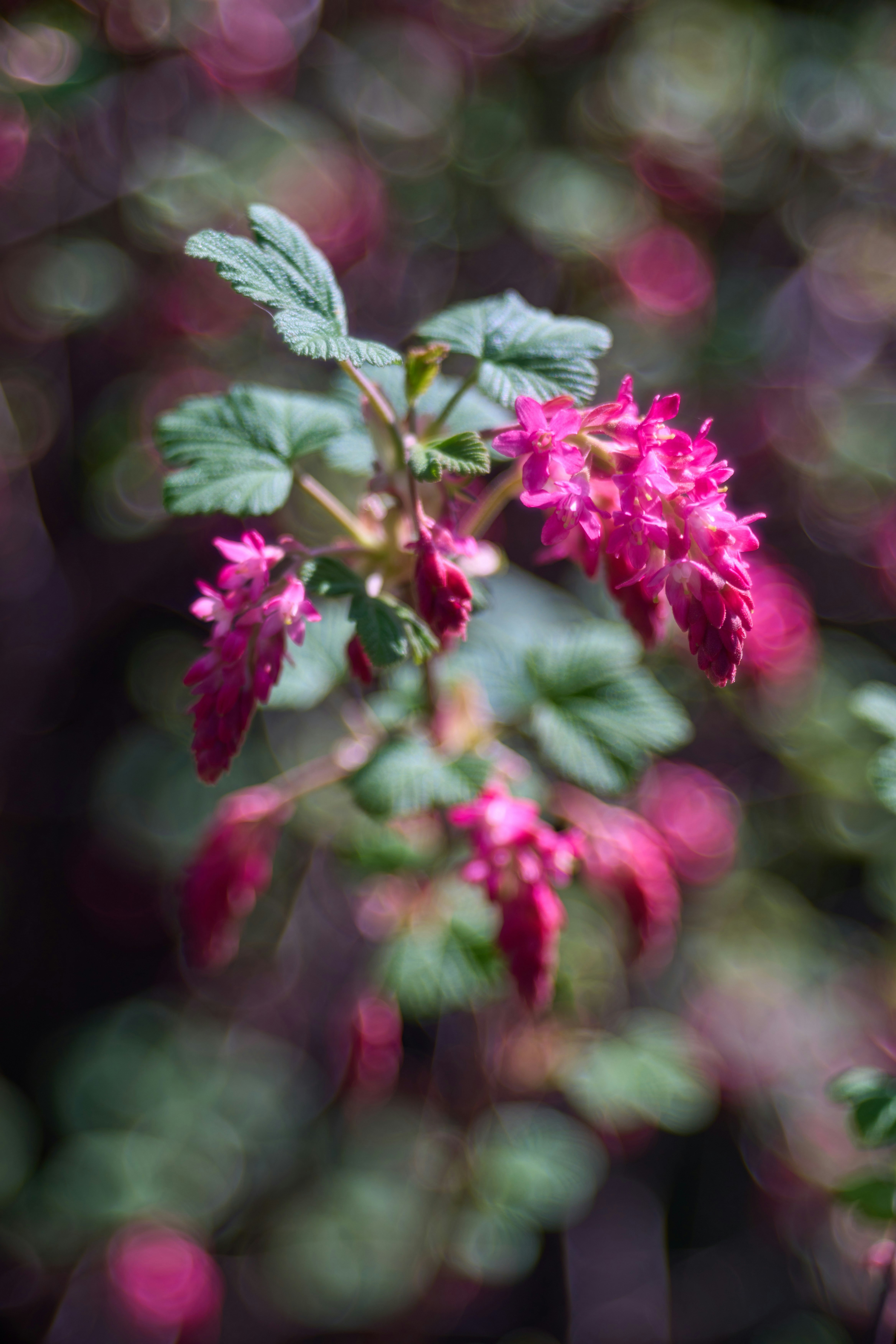 Photo by wolfgang_hasselmann