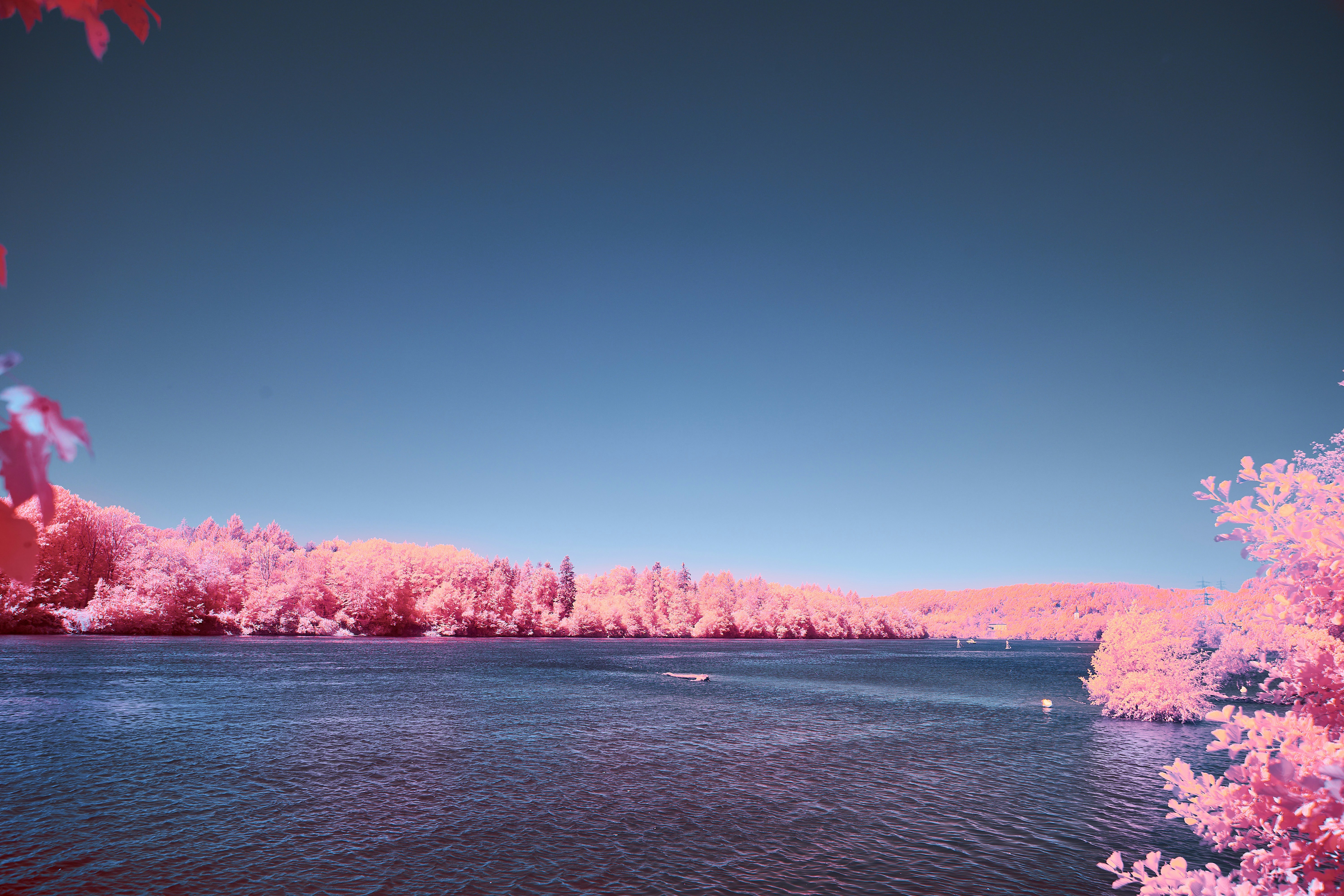 Photo by wolfgang_hasselmann