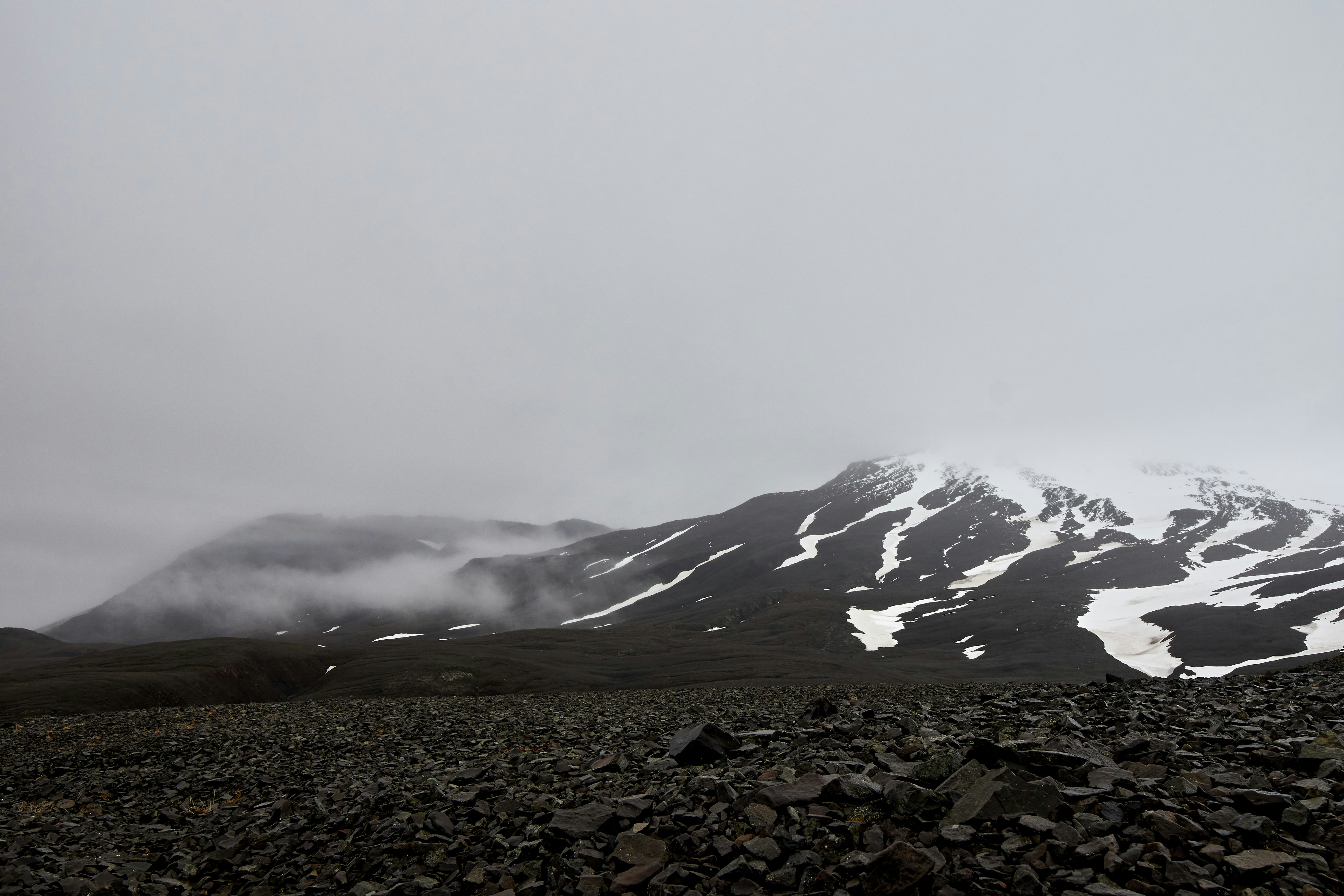 Photo by wolfgang_hasselmann