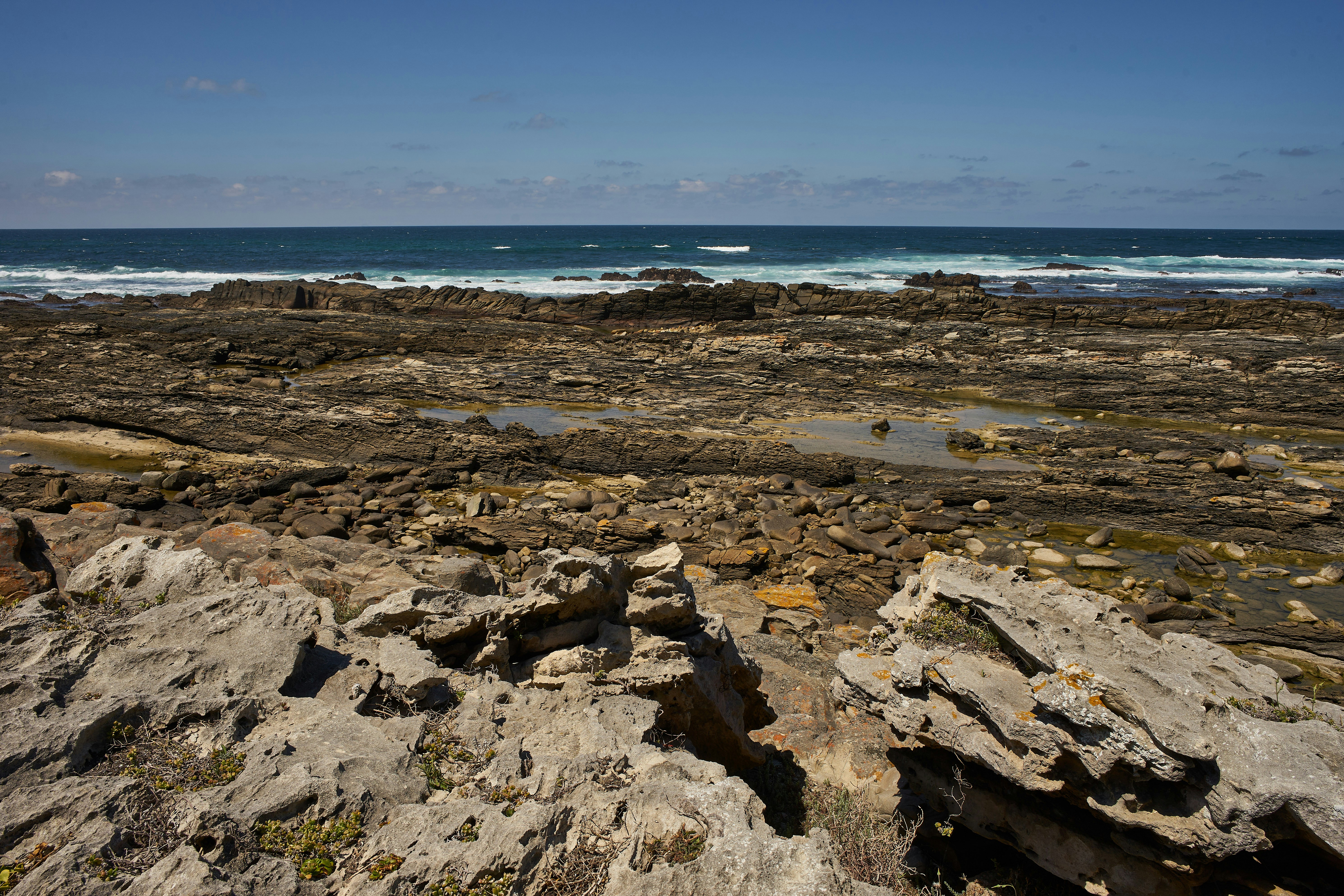 Photo by wolfgang_hasselmann