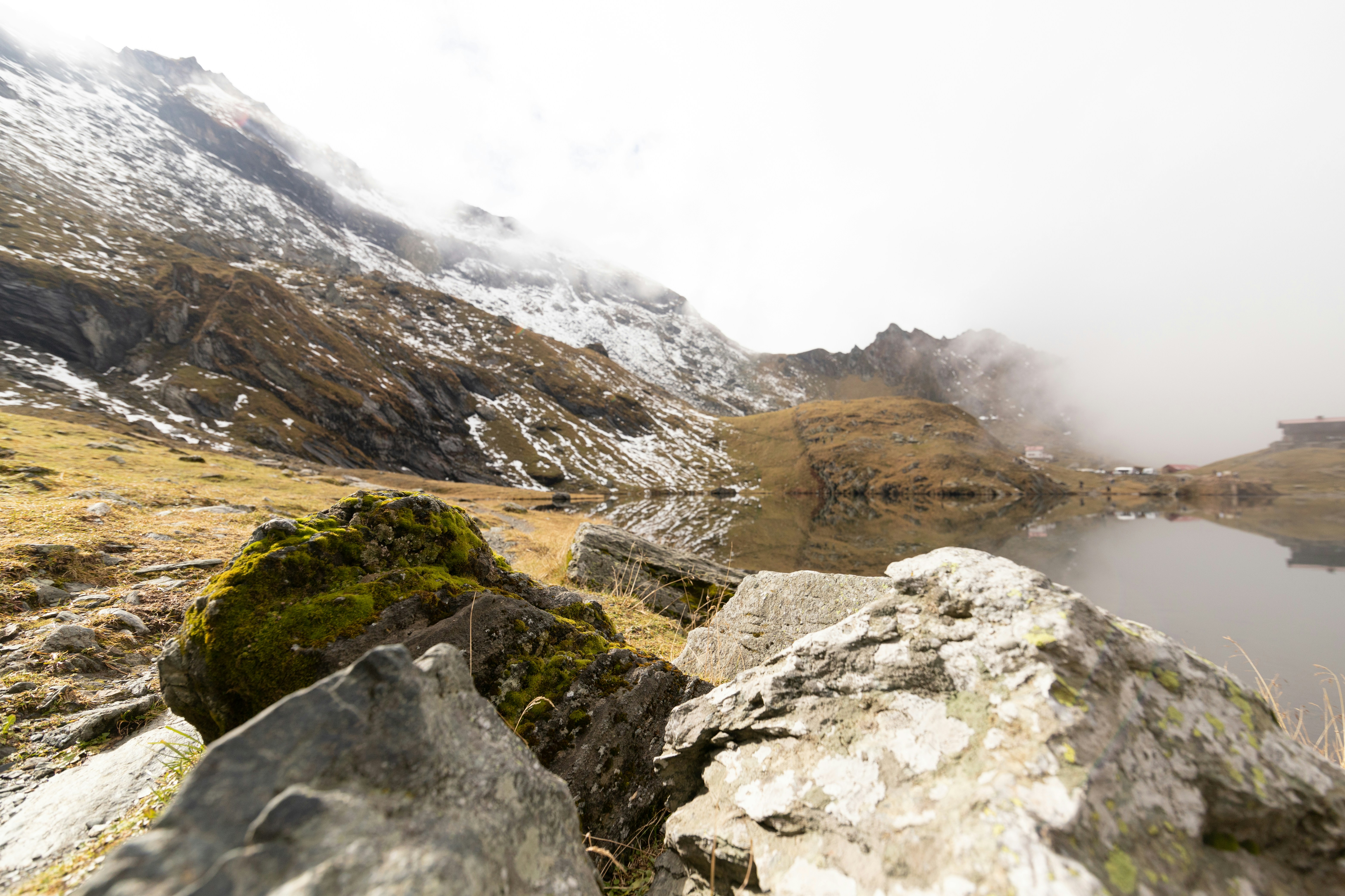 Photo by dumitrasconiudesign