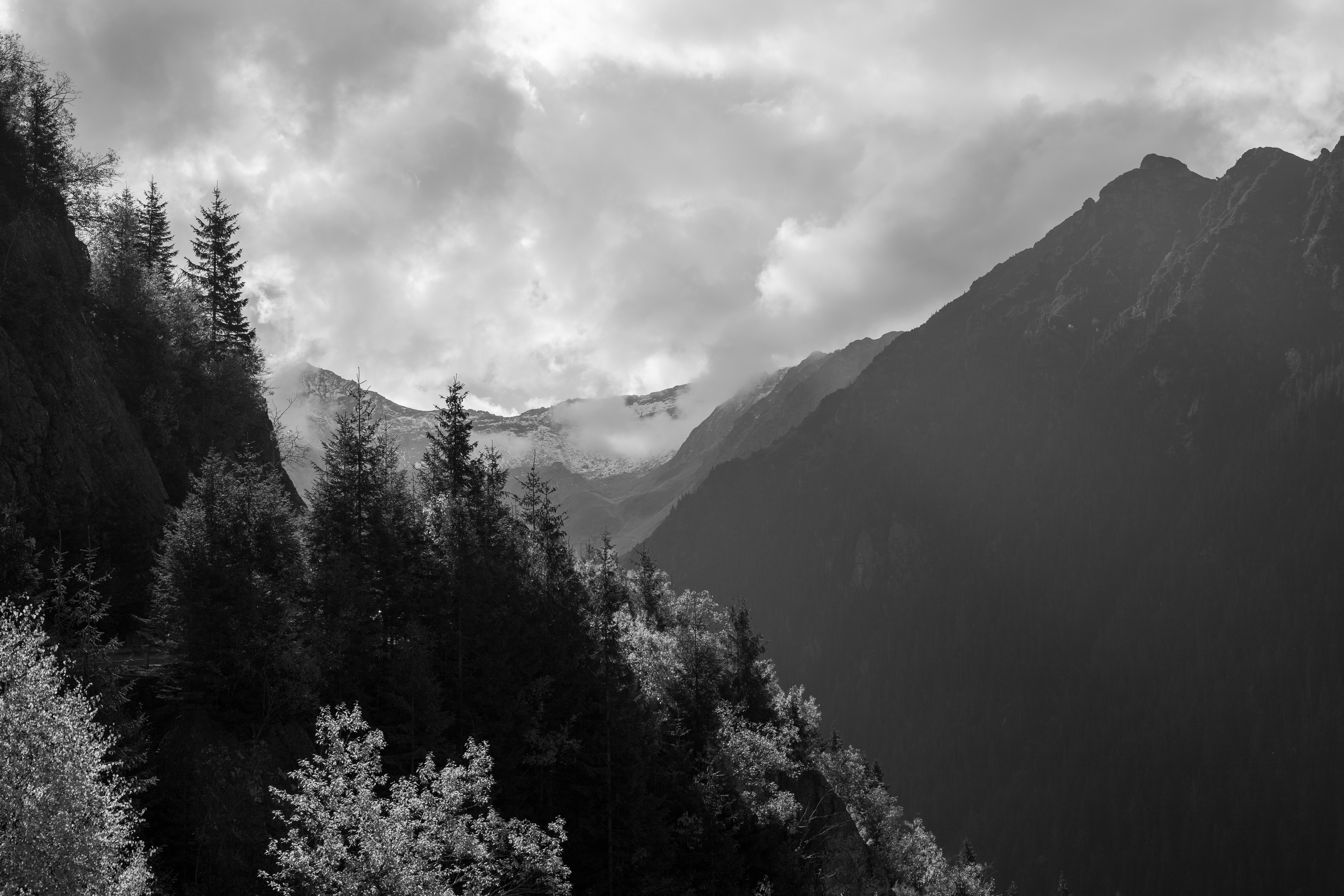 Photo by dumitrasconiudesign