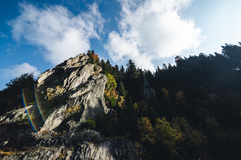 a rocky mountain with trees