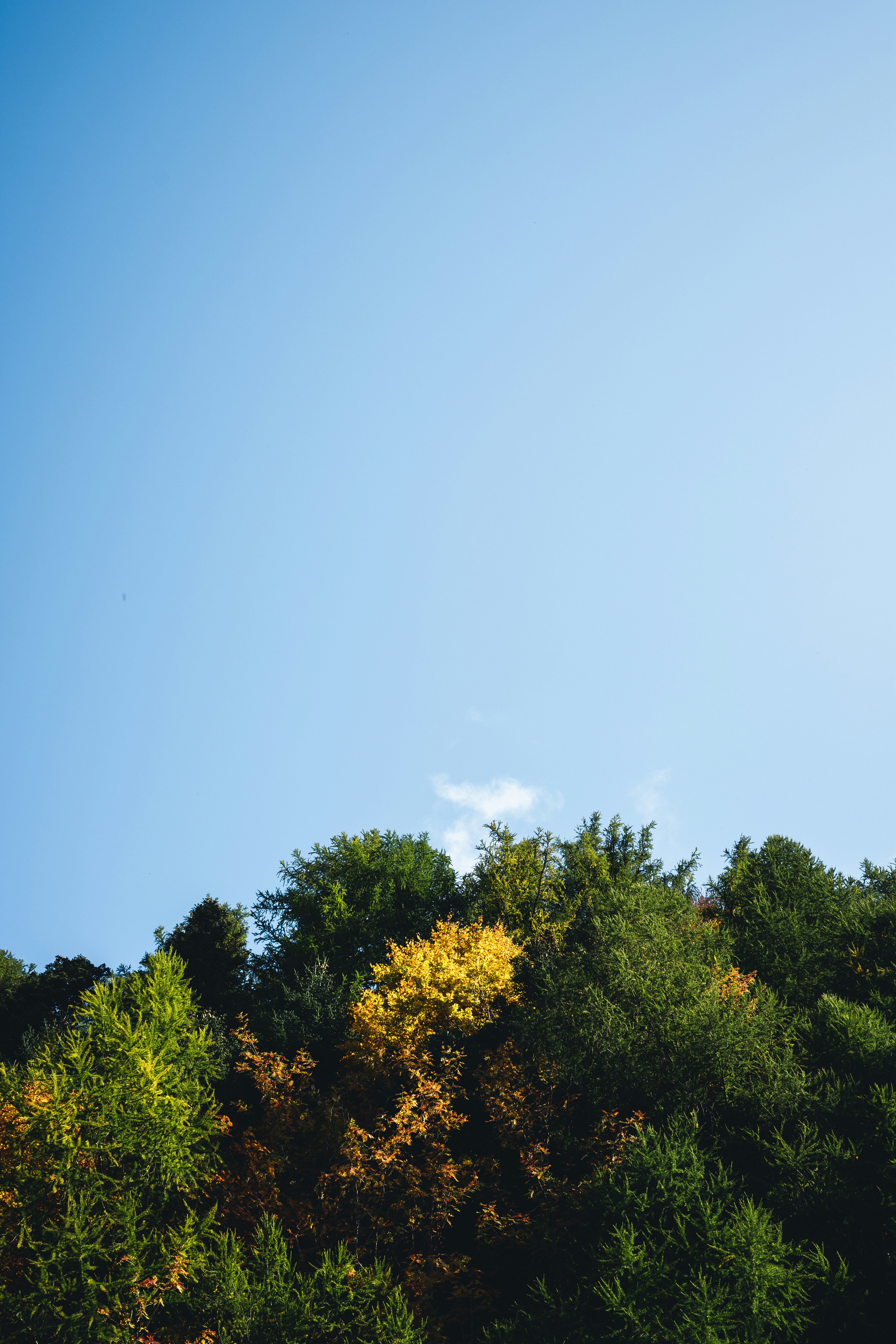 Photo by dumitrasconiudesign