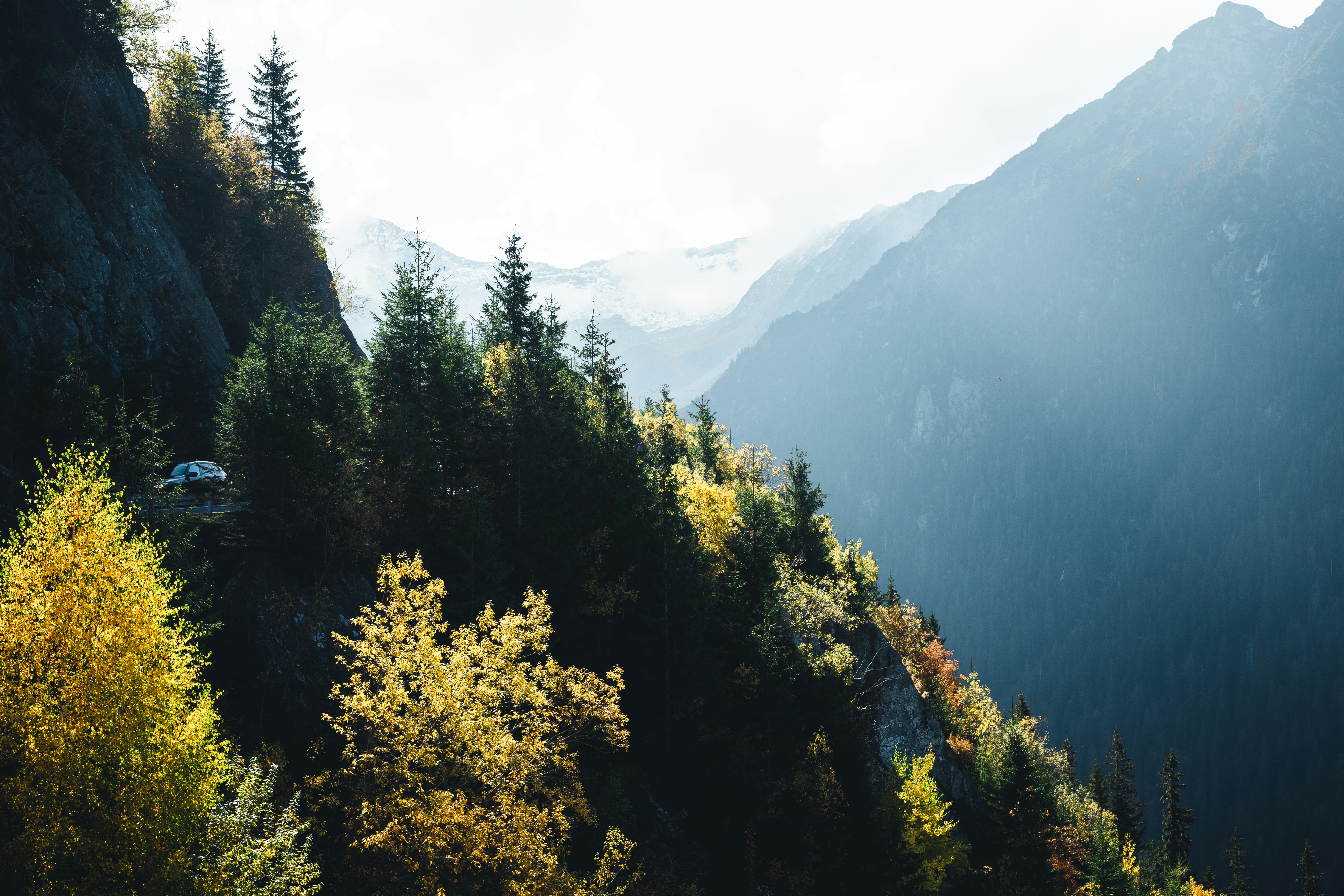 Photo by dumitrasconiudesign