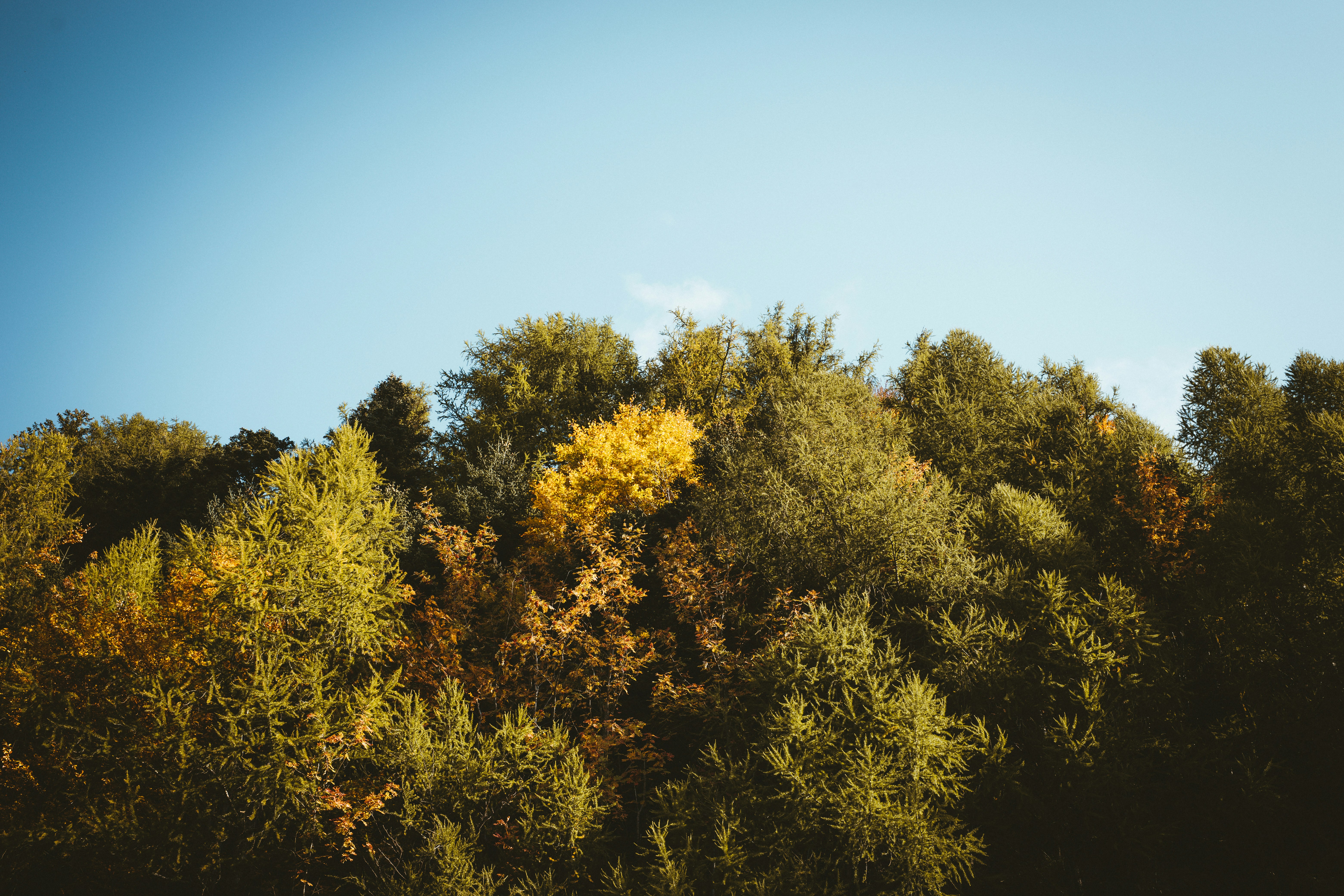 Photo by dumitrasconiudesign