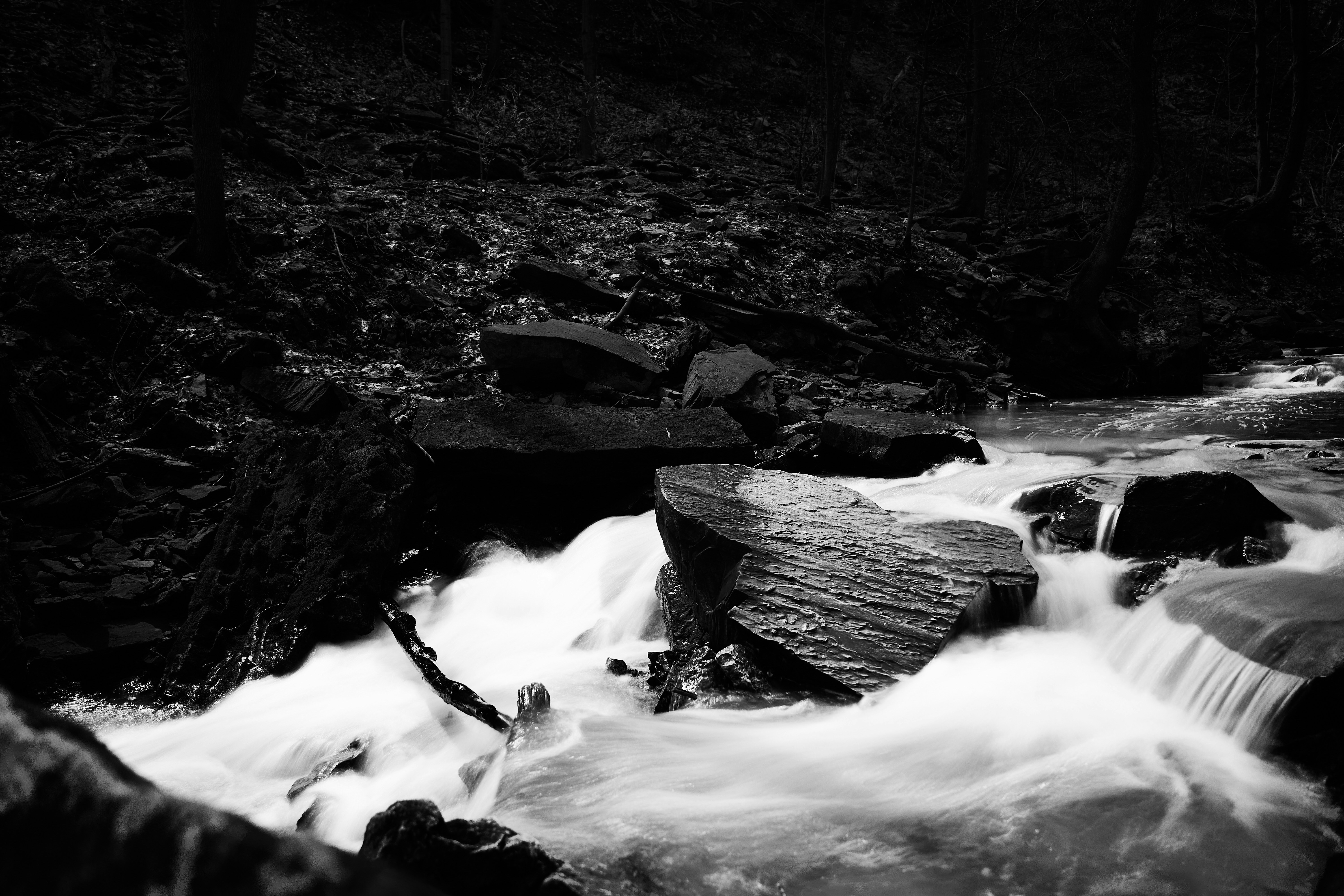 Photo by wolfgang_hasselmann